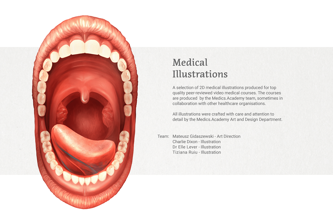 anatomy detailed digital painting Drawing  Human Body ILLUSTRATION  ilustration medical medical illustration scientific illustration