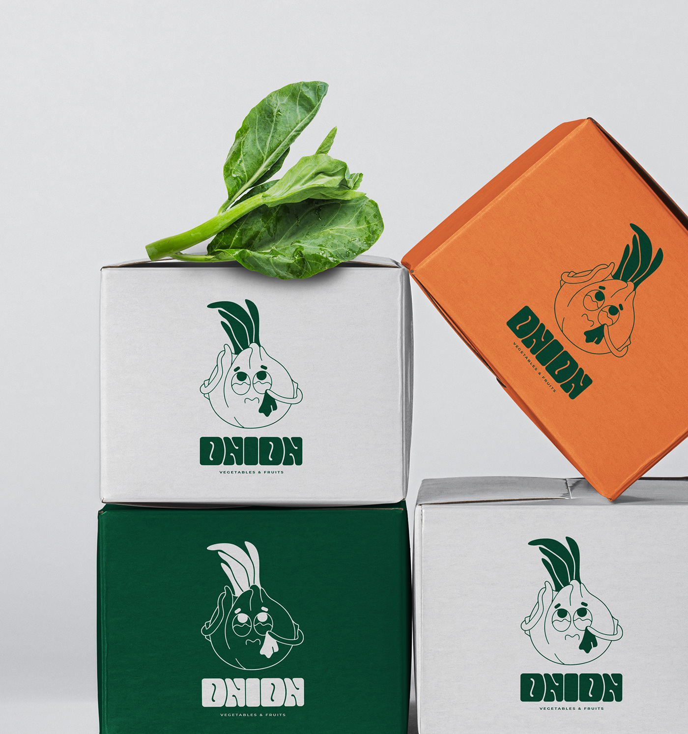 brand identity design Food  Fruit logo Onion Packaging product design  vegetables visual identity