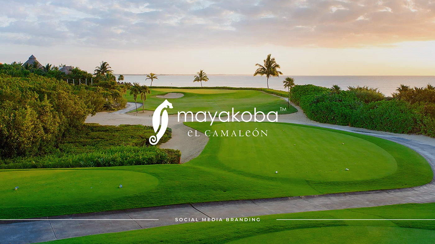 social media Social Media Design Social media post social media branding branding  brand guide golf Lifestyle brand Brand Guideliness mayakoba