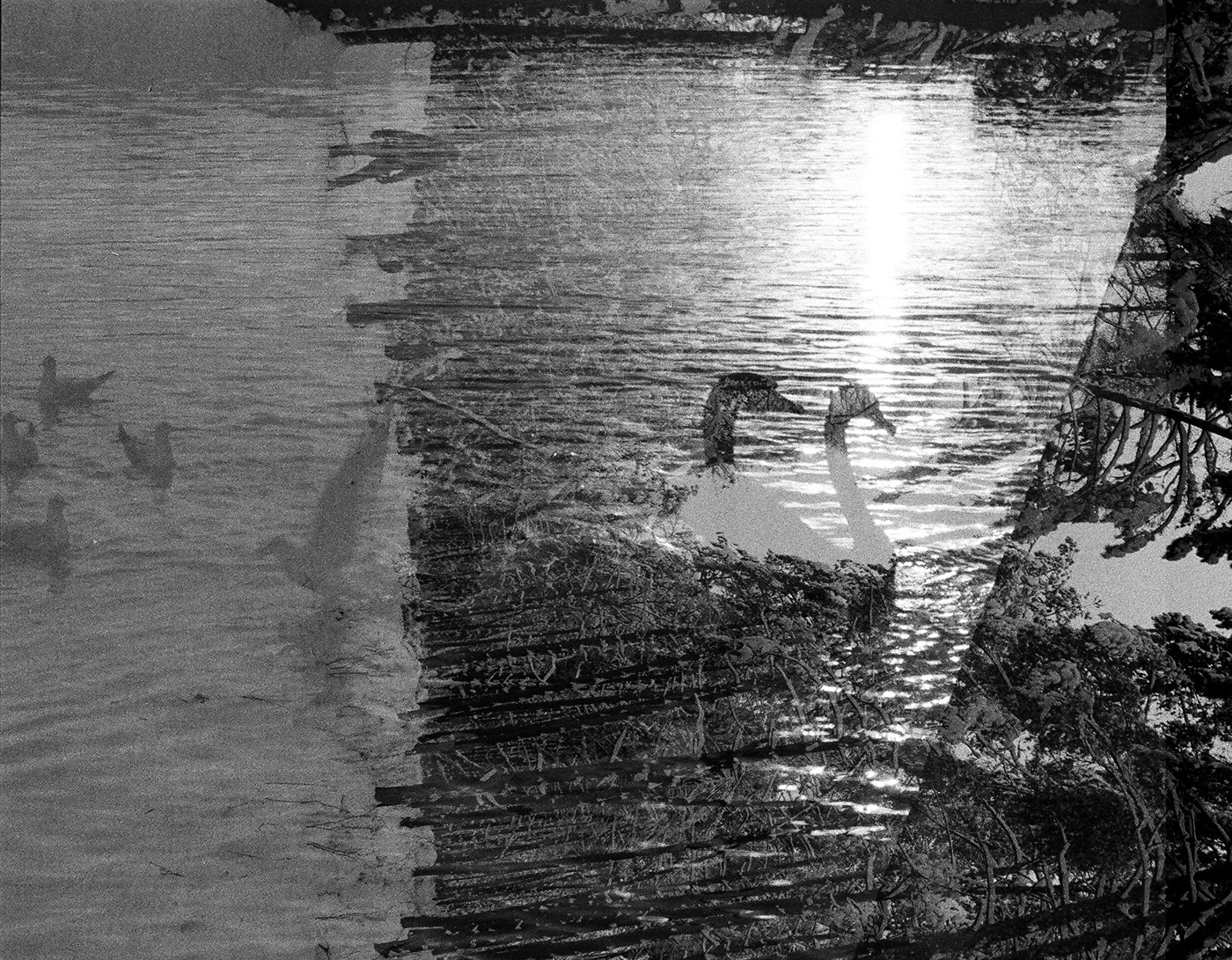analog black and white double exposure Landscape monochrome Nature Photography 