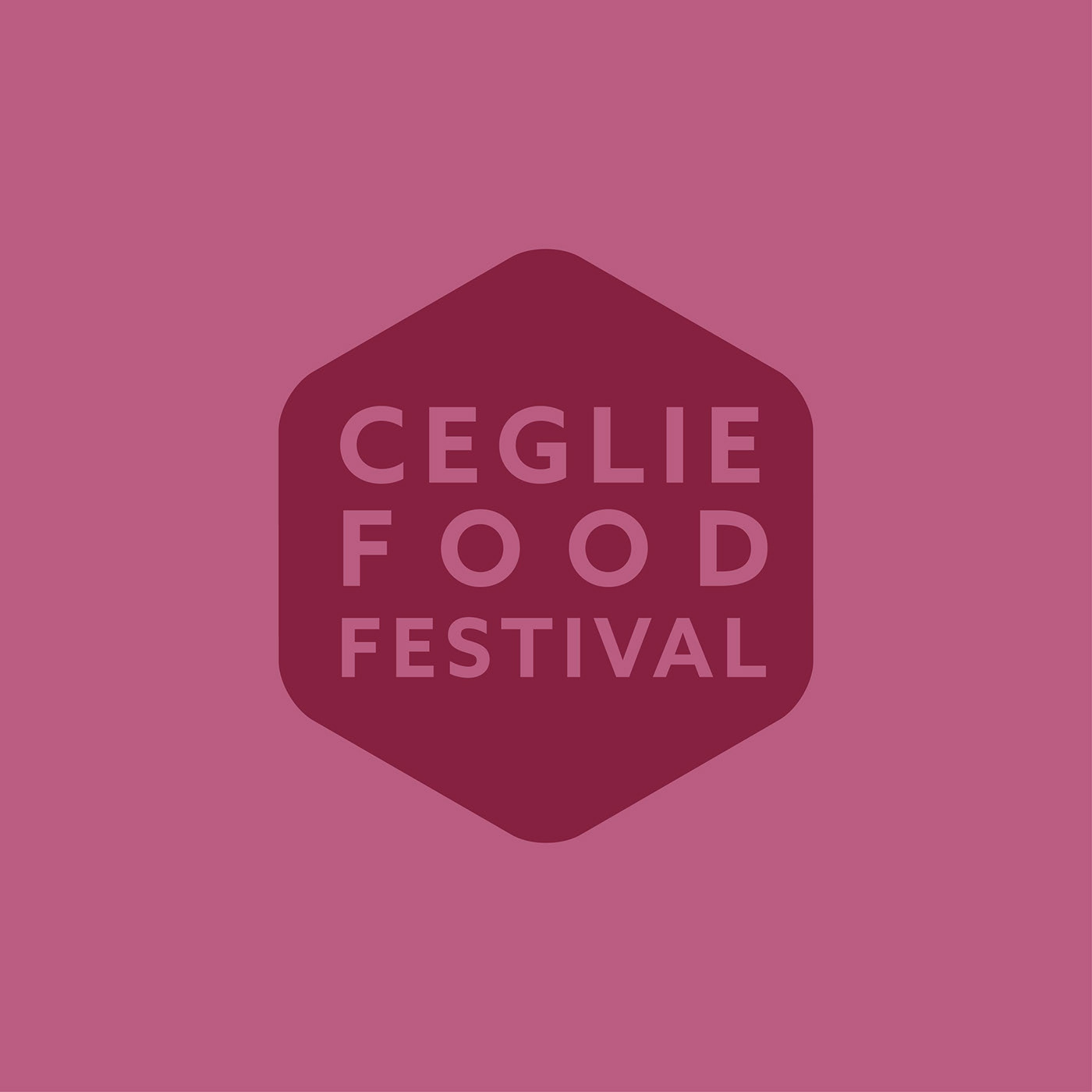 Ceglie Food Festival Food  festival puglia grafica