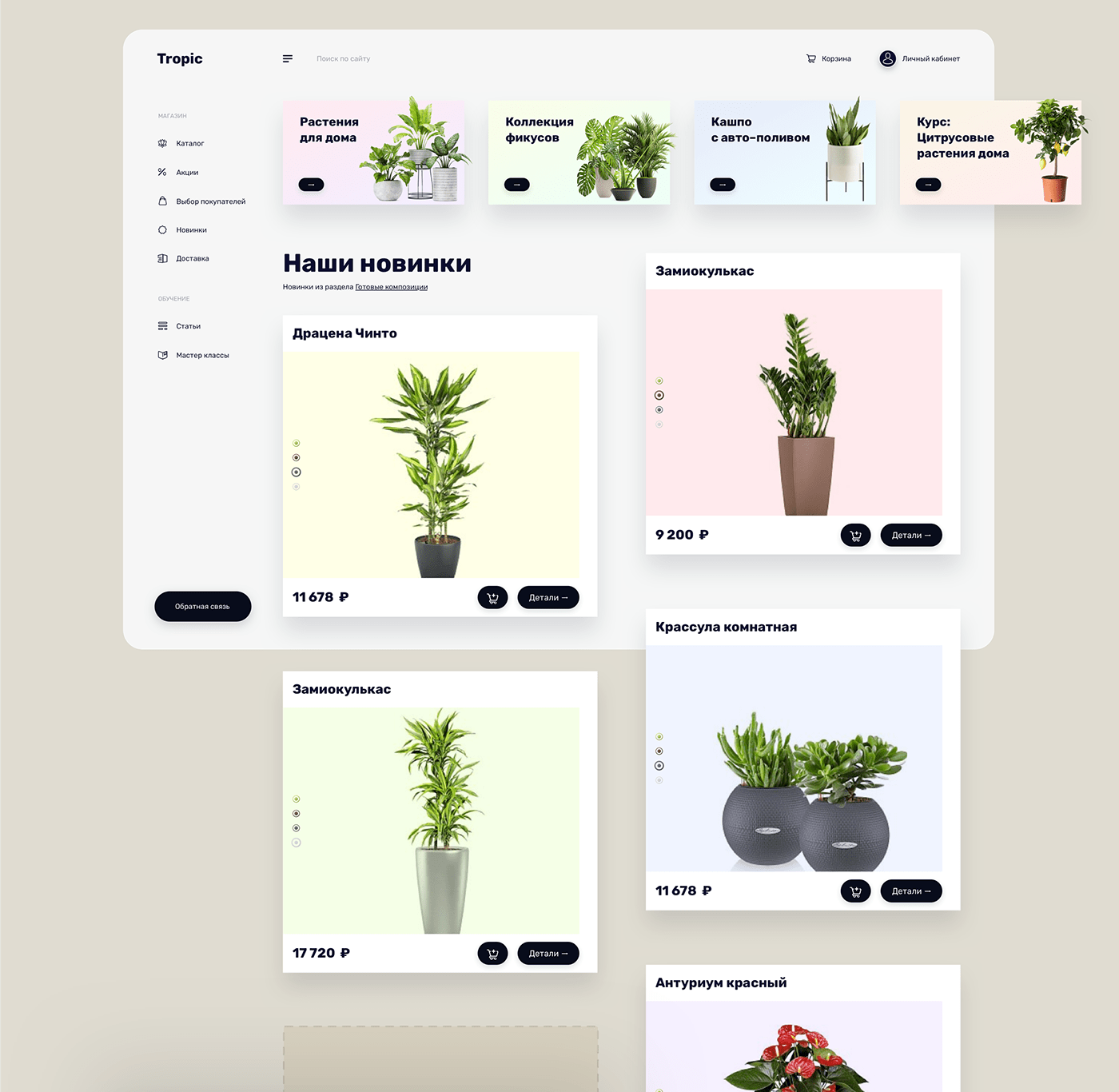 Flowers store e-comerce ux UI animation  interface design experience design light color