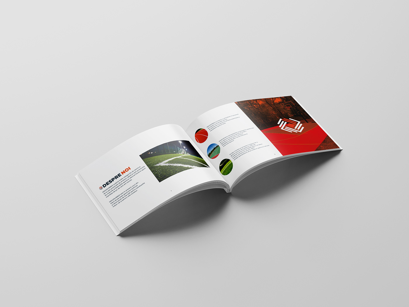 branding  brochure businesscards Catalogue graphic design  logo print
