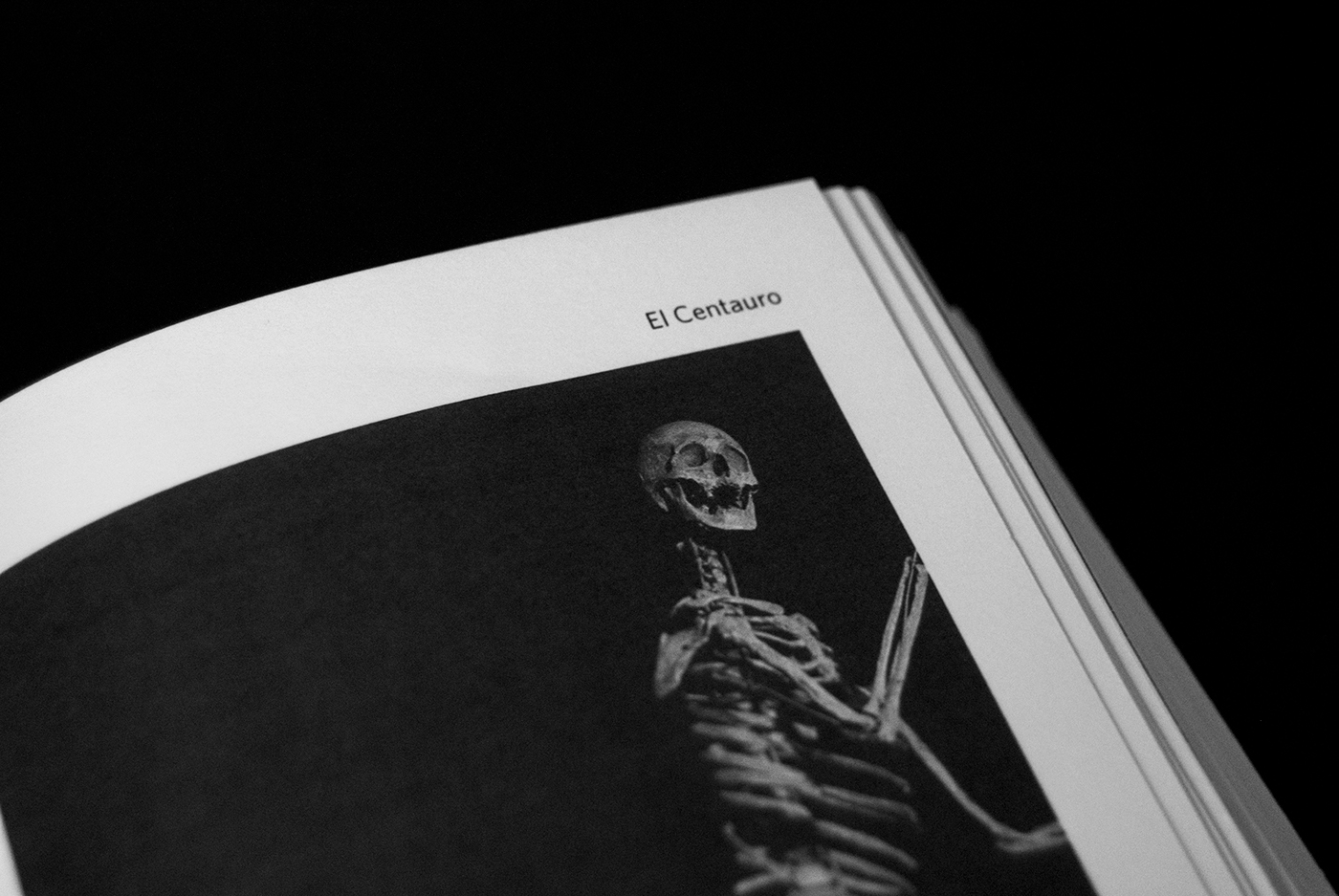 book design fantastic animal Borges skeleton mythology manual retouch