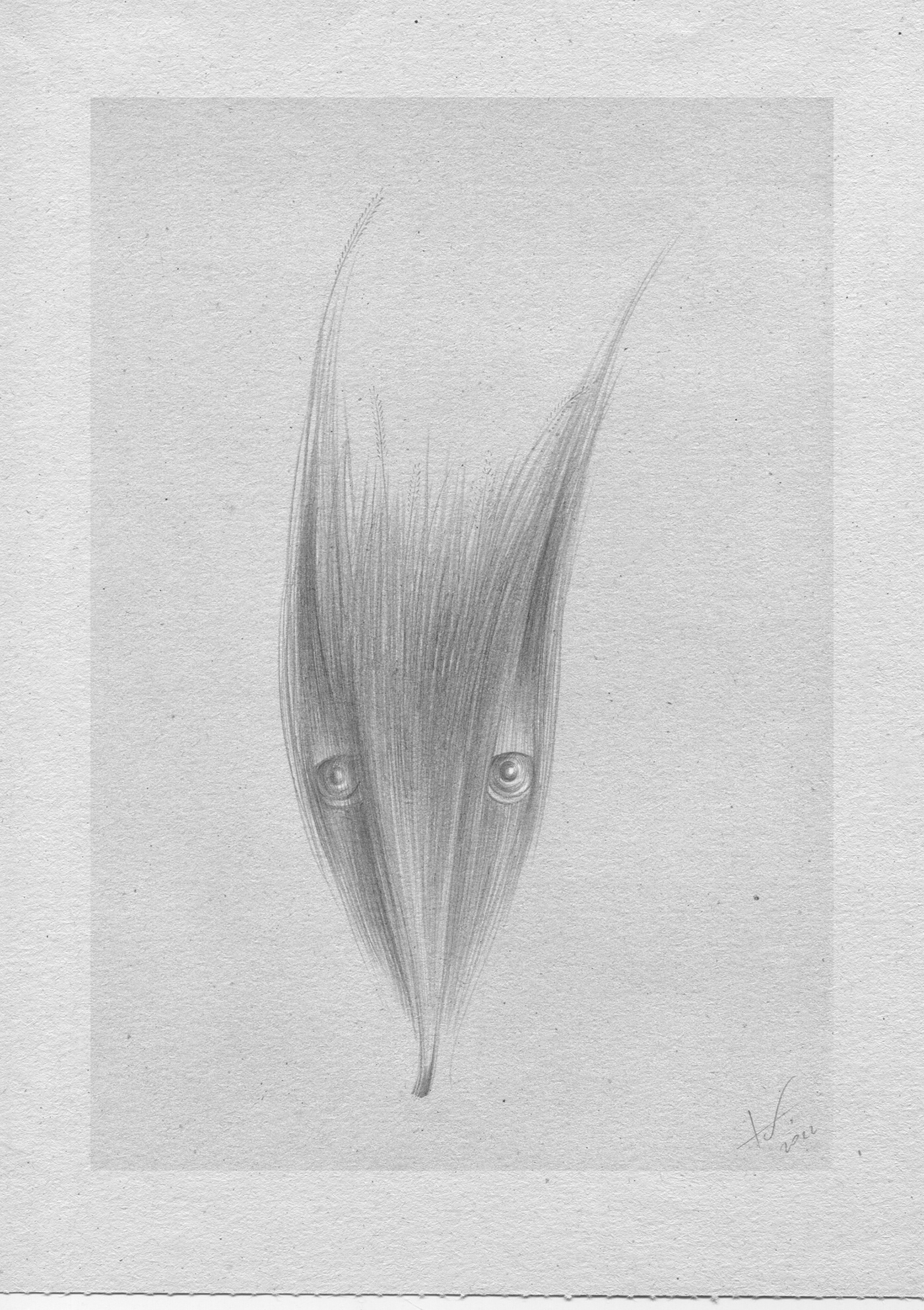 art artwork Character design  Drawing  ILLUSTRATION  paper pencil graphite pencil pencildrawing imagination
