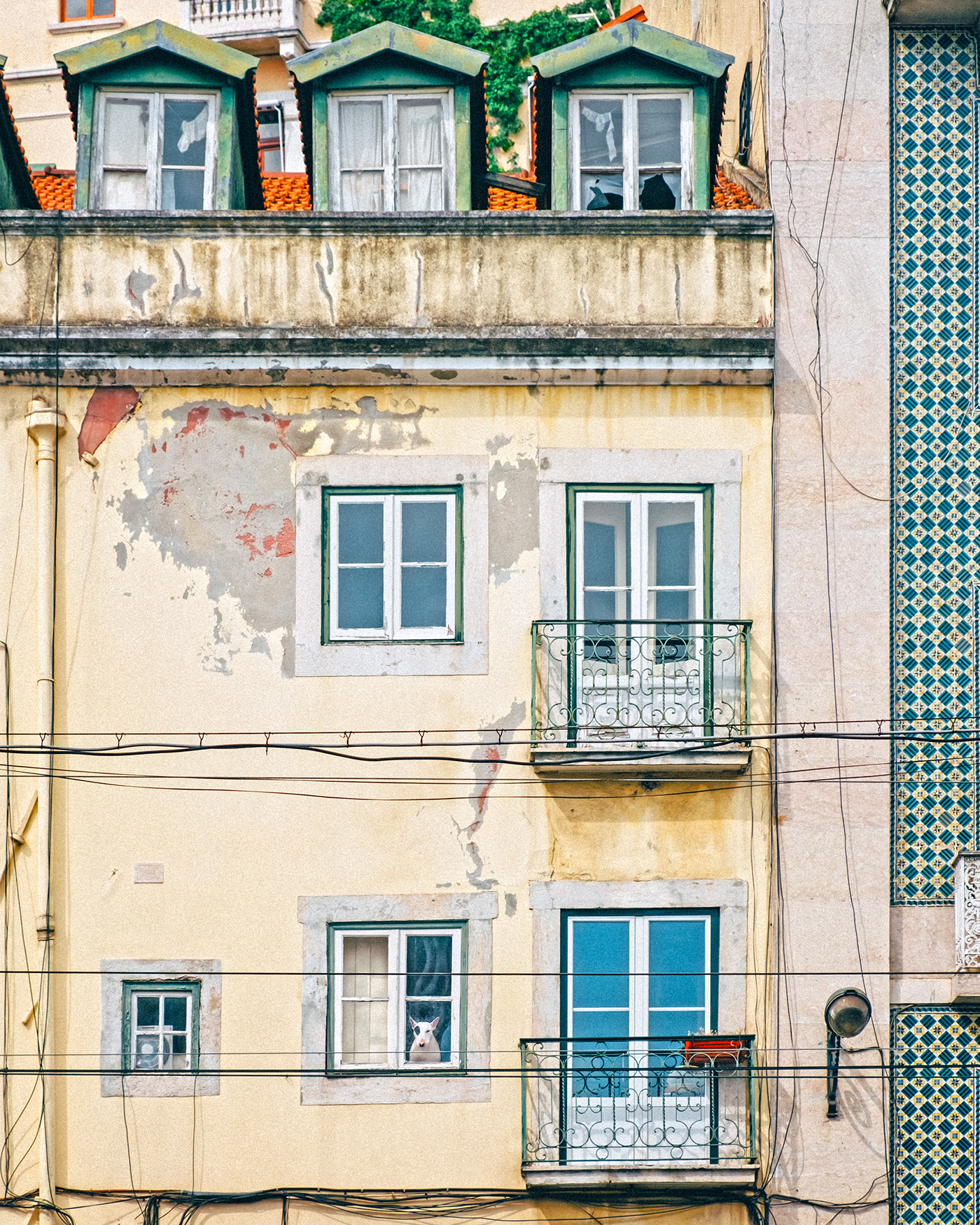 Street streetphotography Travel Lisbon Portugal