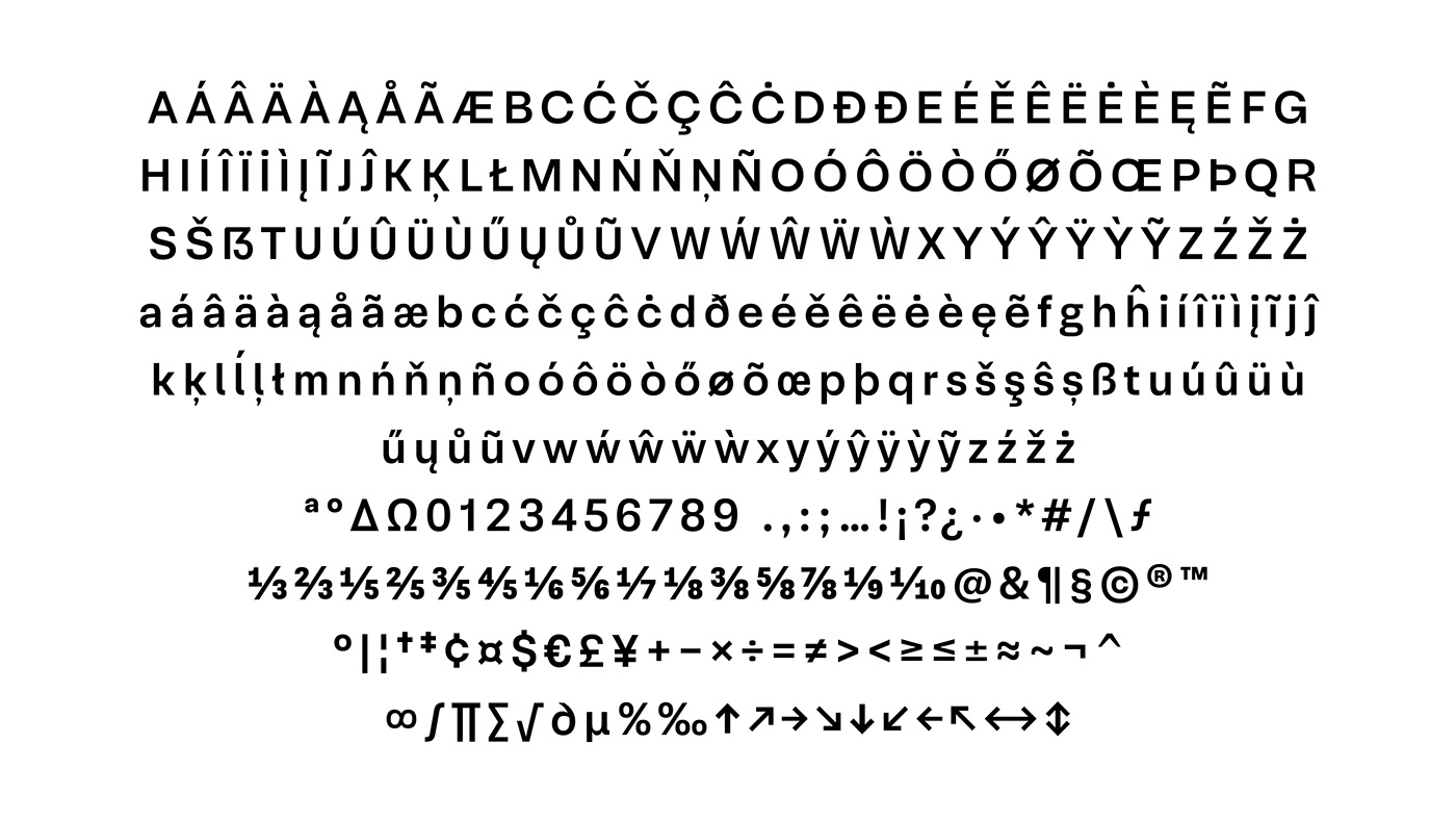 font type typography   Graphic Designer brand identity visual identity marketing   design