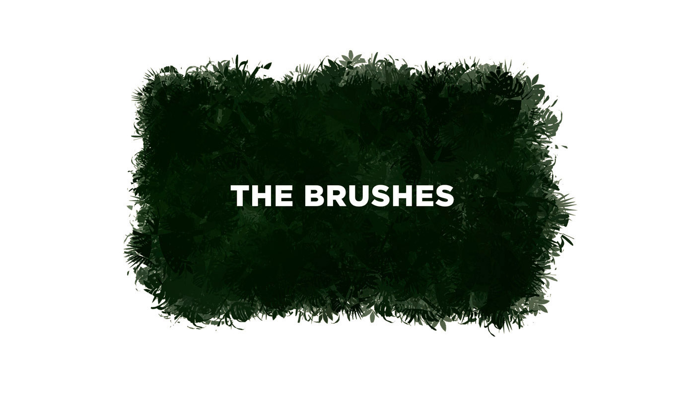 Procreate brushes vegetation plants Drawing ILLUSTRATION sketching