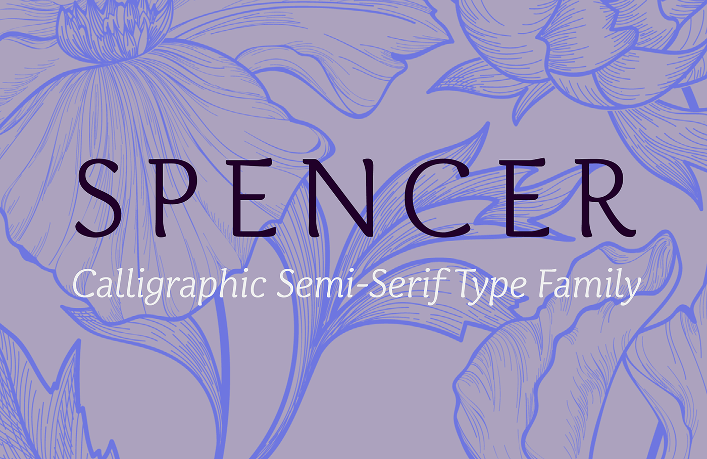 semiserif Calligraphy   semi-serif serif Typeface font The Northern Block type design typography   graphic design 