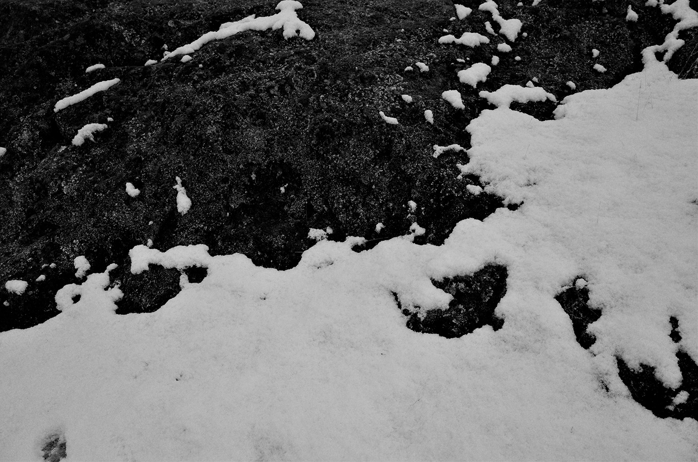 Photography  snow Canada art Nature Black&white Film Camera