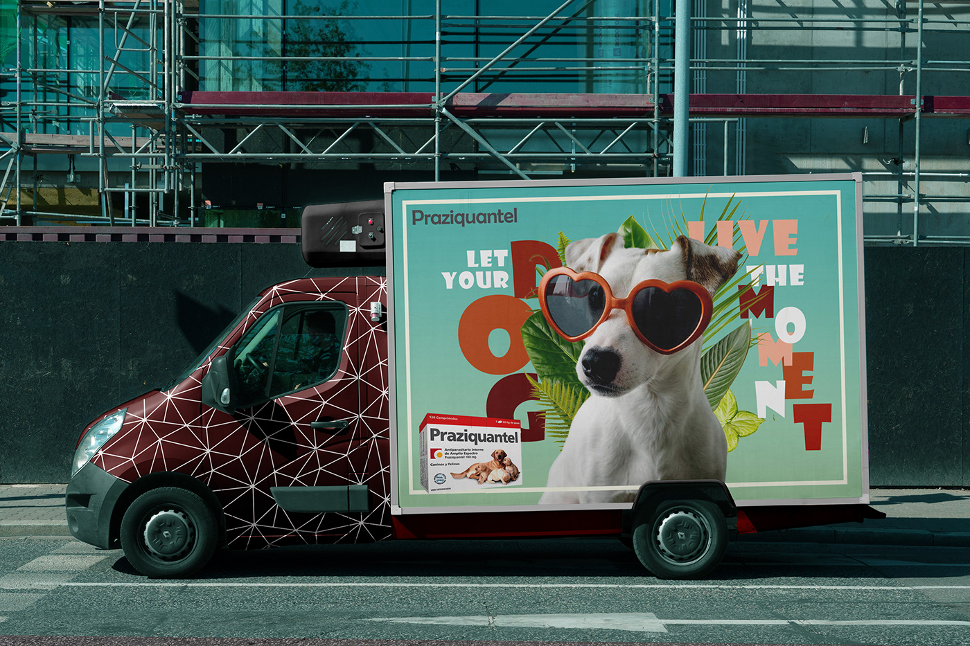 Advertising  dog medicine billboard Outdoor ad design bus design manipulation Mockup photoshop