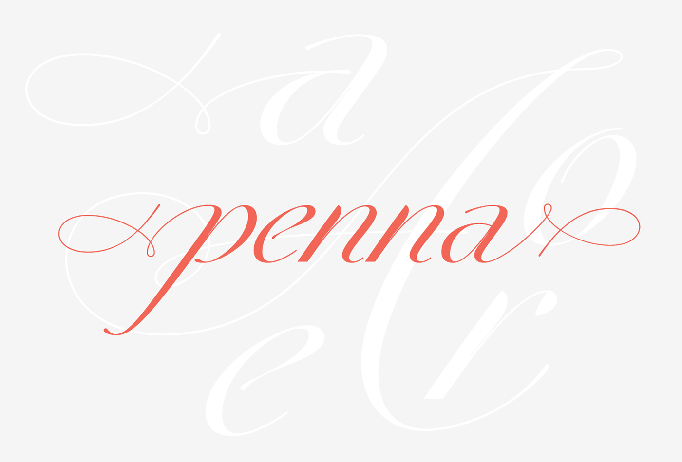 Script italic Swashes Typeface font DSType Pedro Leal