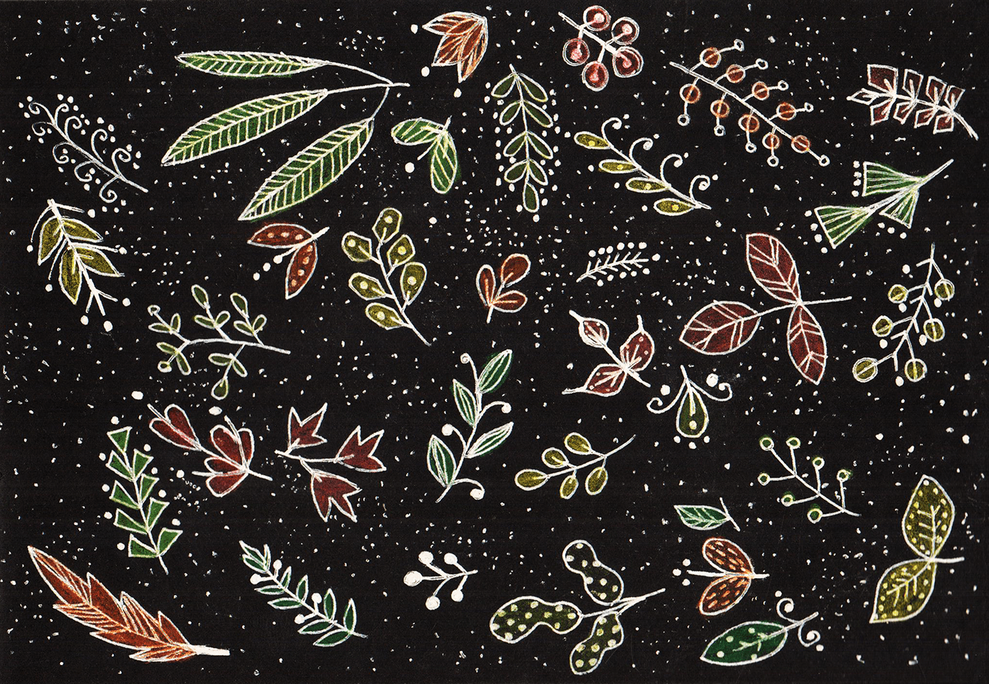 black bugs fishes ILLUSTRATION  Insects jellyfish leaves Patterns sketchbook Surface Pattern
