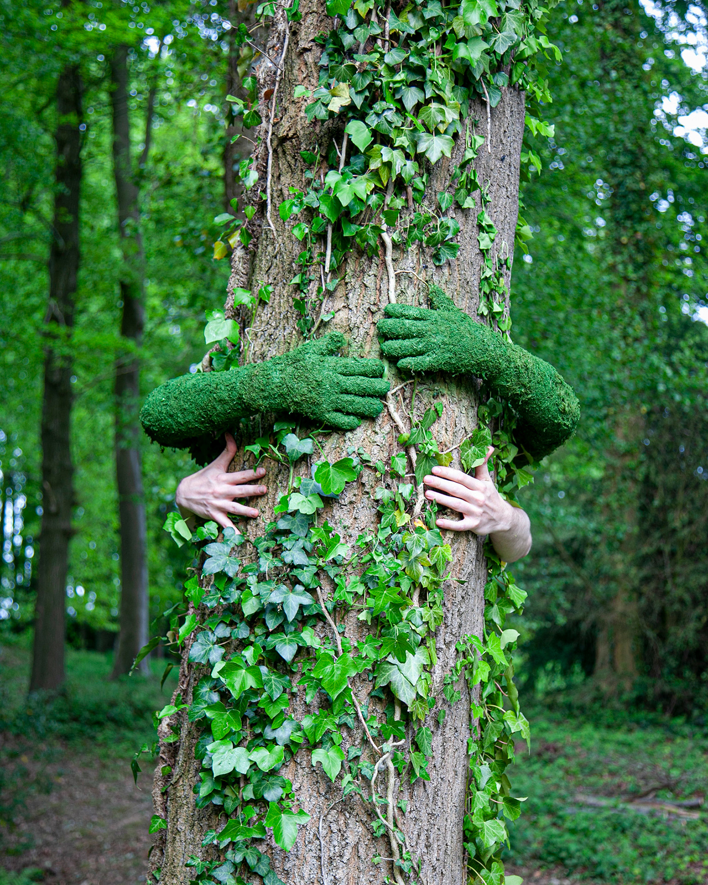 contemporary art Exhibition  gallery installation landart monsieurplant Nature Plant Tree  treehug