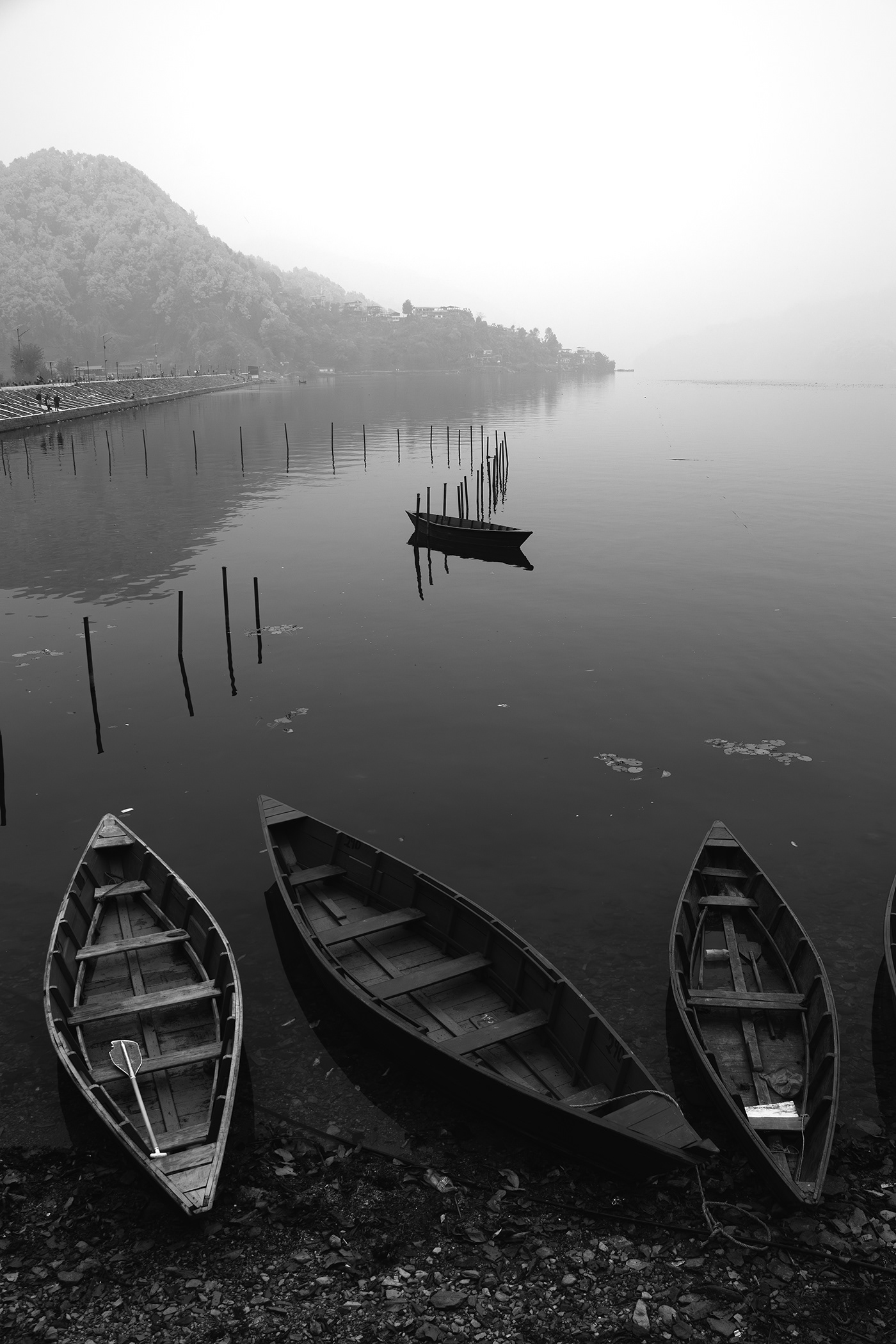 black and white Photography  lake Boats