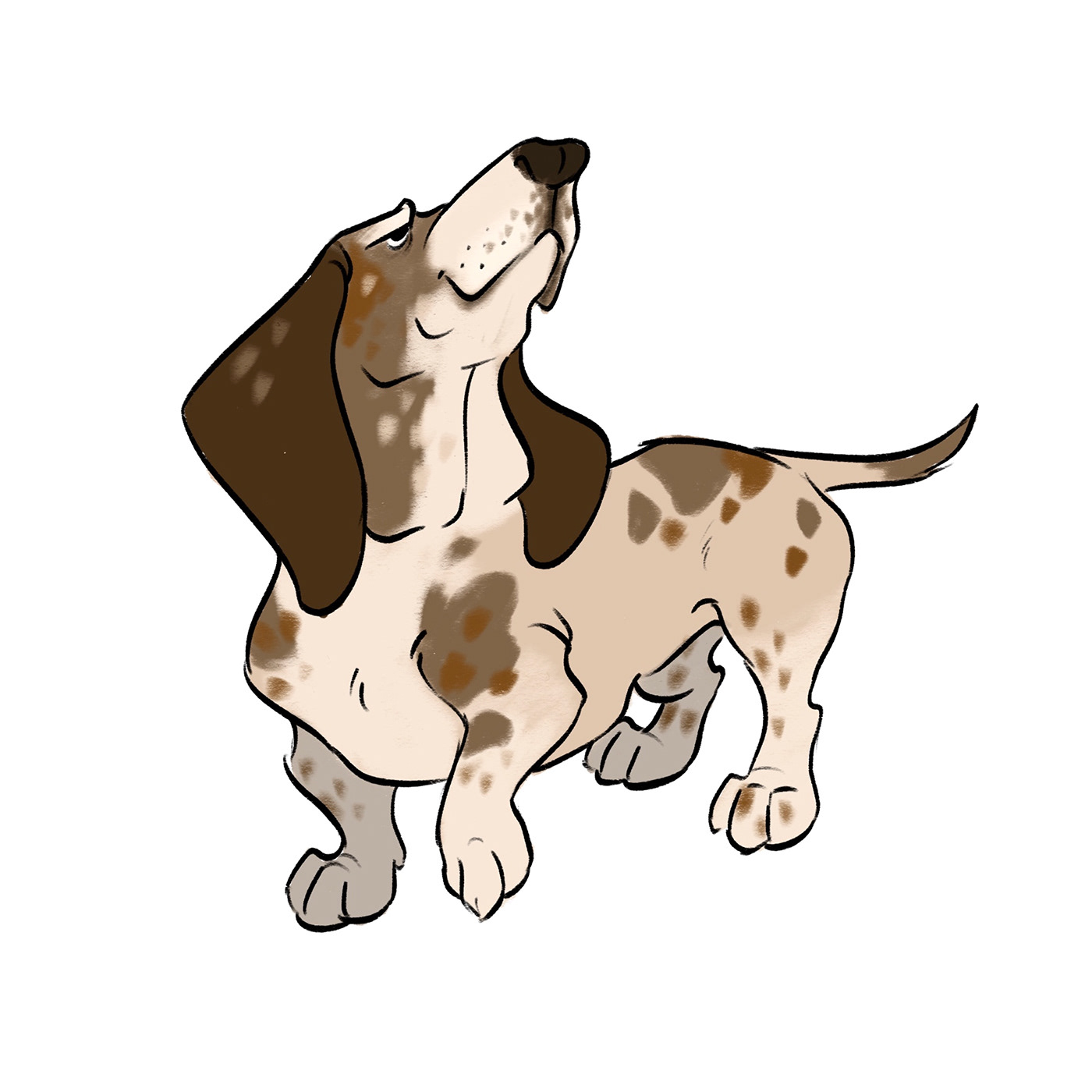 animation  Animation Art Basset Hound cartoon art character art Character design  Character Sheet dog hound dog tv animation