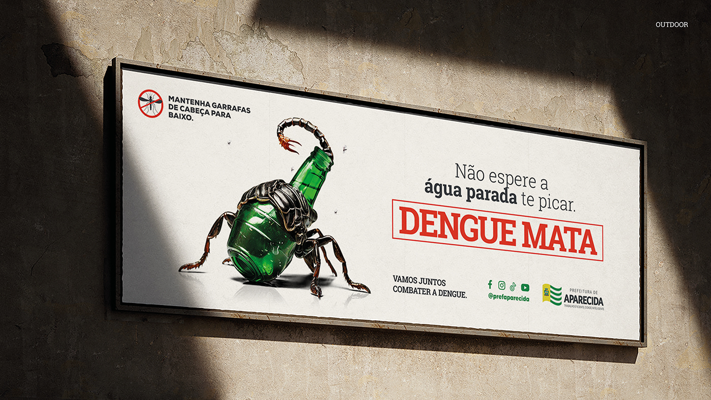 dengue cobra Pneu escorpião tarantula agua parada aparecida de goiania prefeitura de aparecida Presa