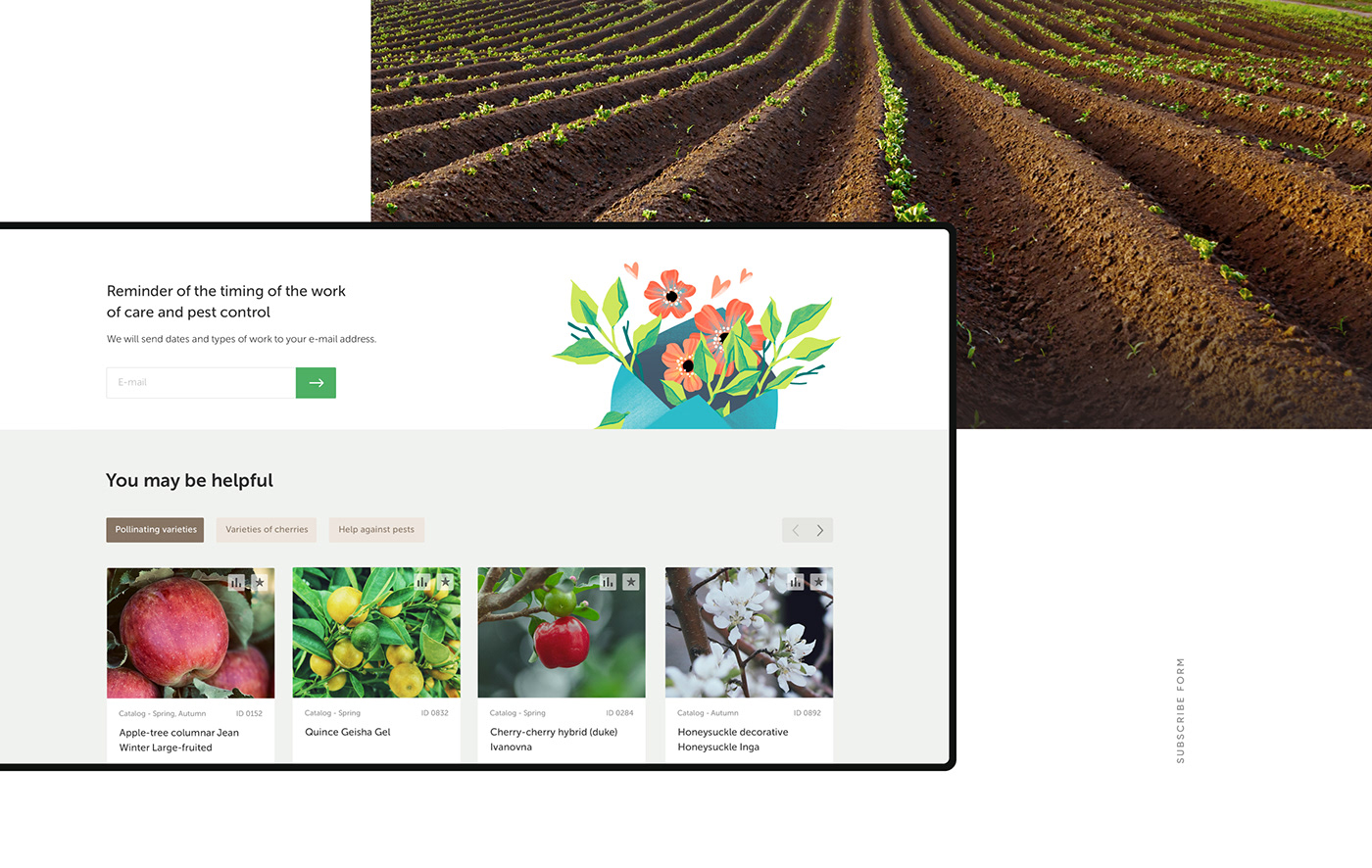 plants gardens animation  Minimalism UI ux mobile clean e-commerce shop
