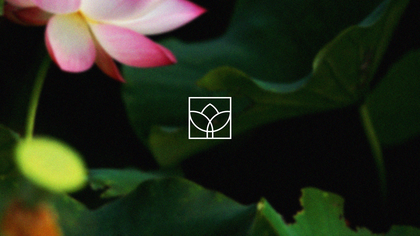 branding  business card florist Flowers identity logo Logotype Nature Packaging visual identity