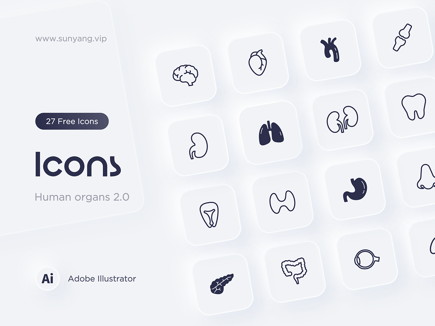 design human organs Icon