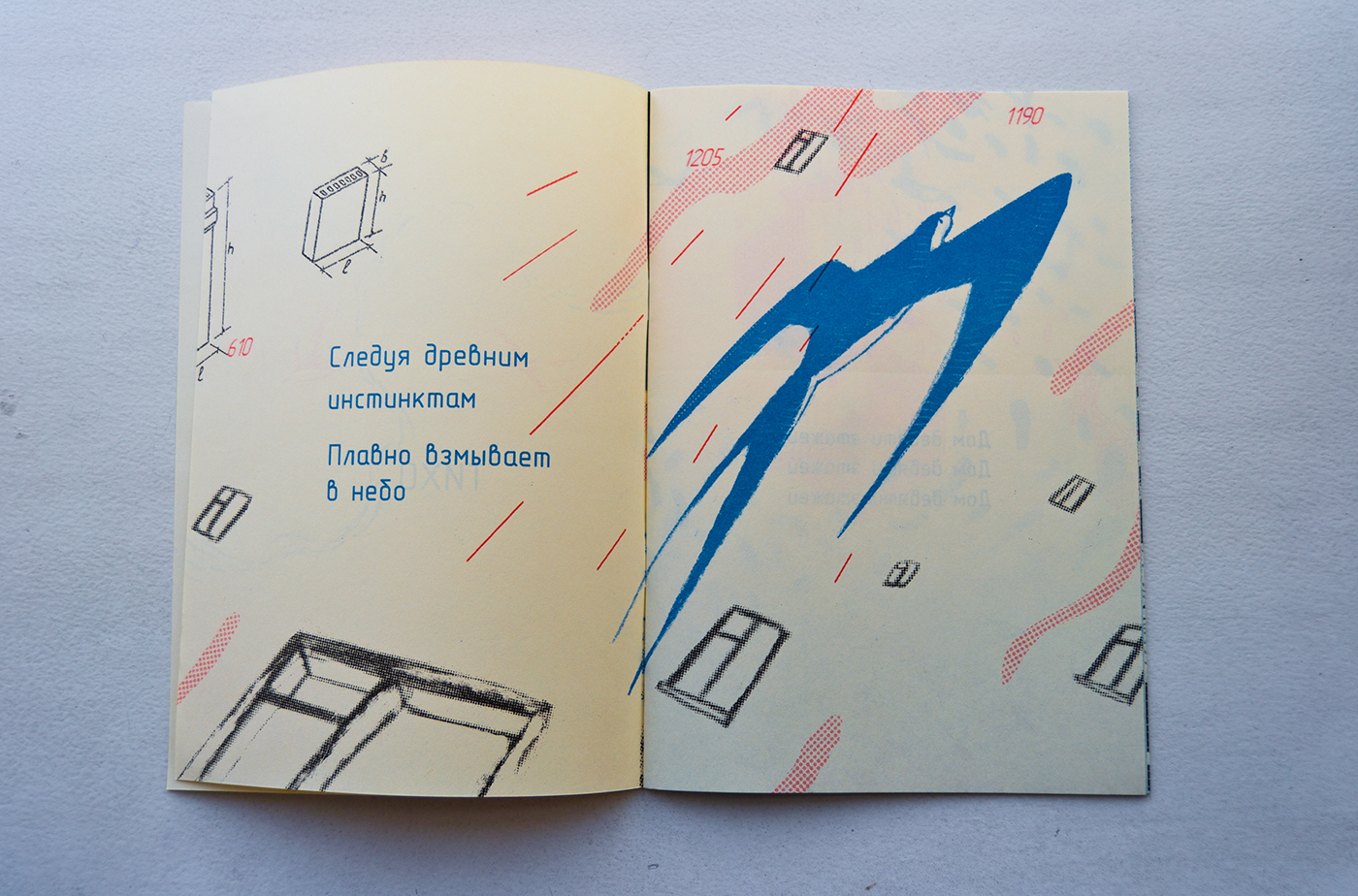 Riso risograph printmaking book publishing design Zine  зин Дизайн книги brochure