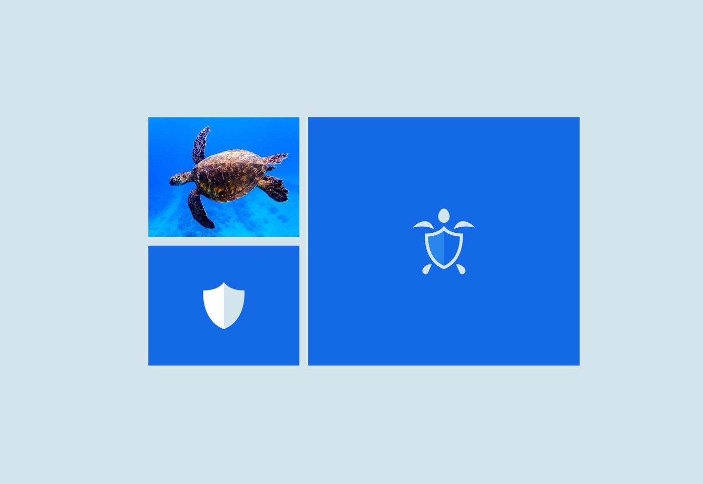 branding  graphic design  logo security Turtle cyber protection Protect mark Internet