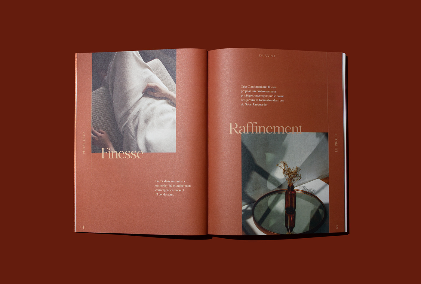 book branding  brochure design editorial graphic design  Layout logo magazine visual identity