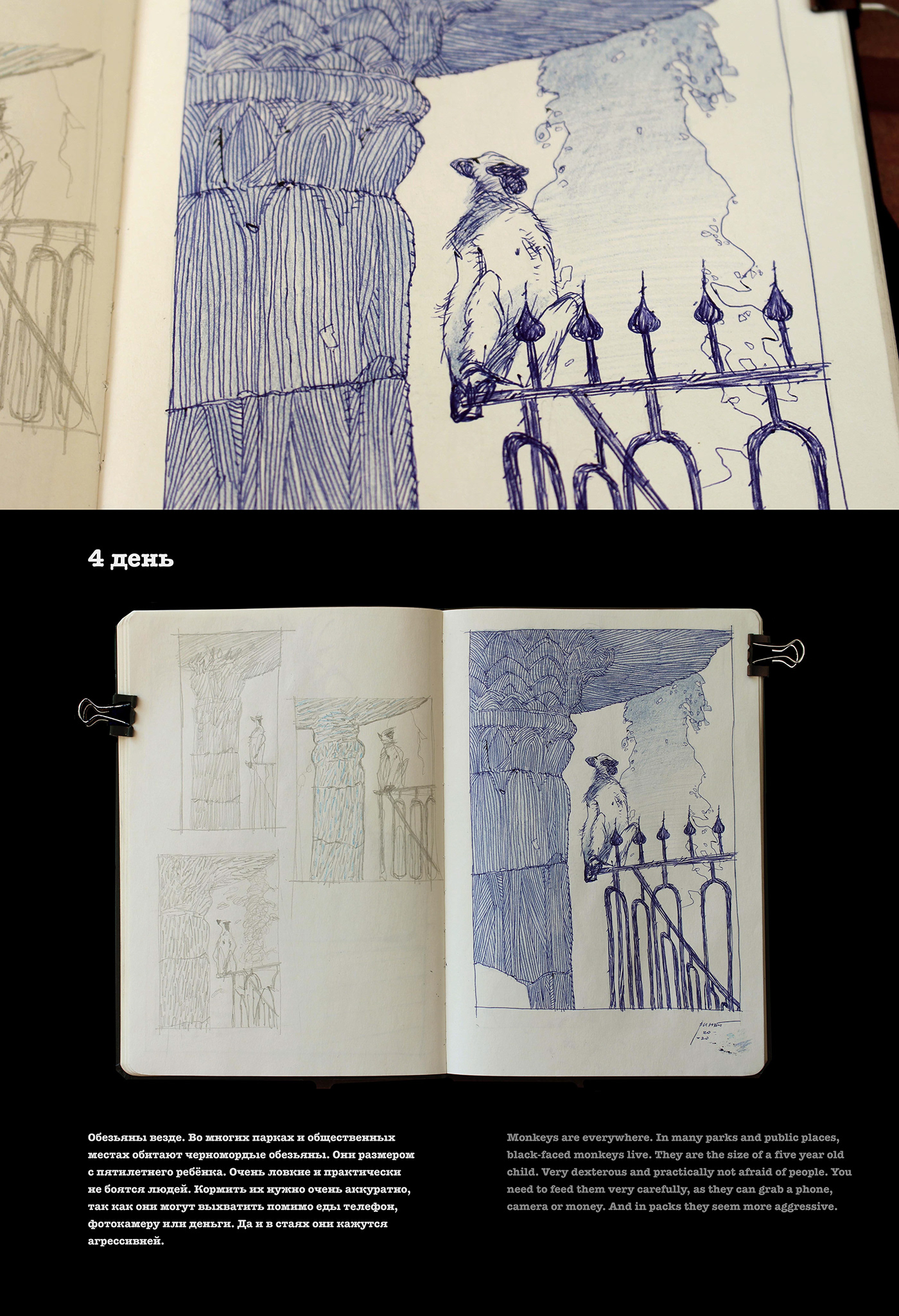 art India ink pen pencil show_me_sketchbook sketch sketchbook Sri_Lanka tradition