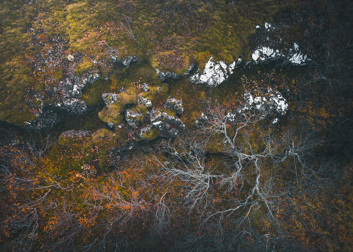 Aerial autumn autumn colors Fall iceland lava Photography 