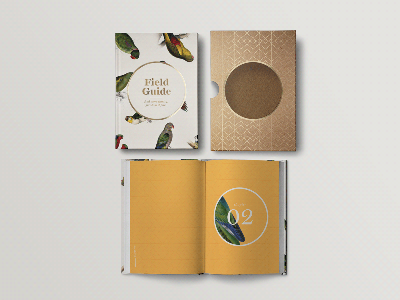 field guide print book Slipcover gold foil birds life coach die-cut manual