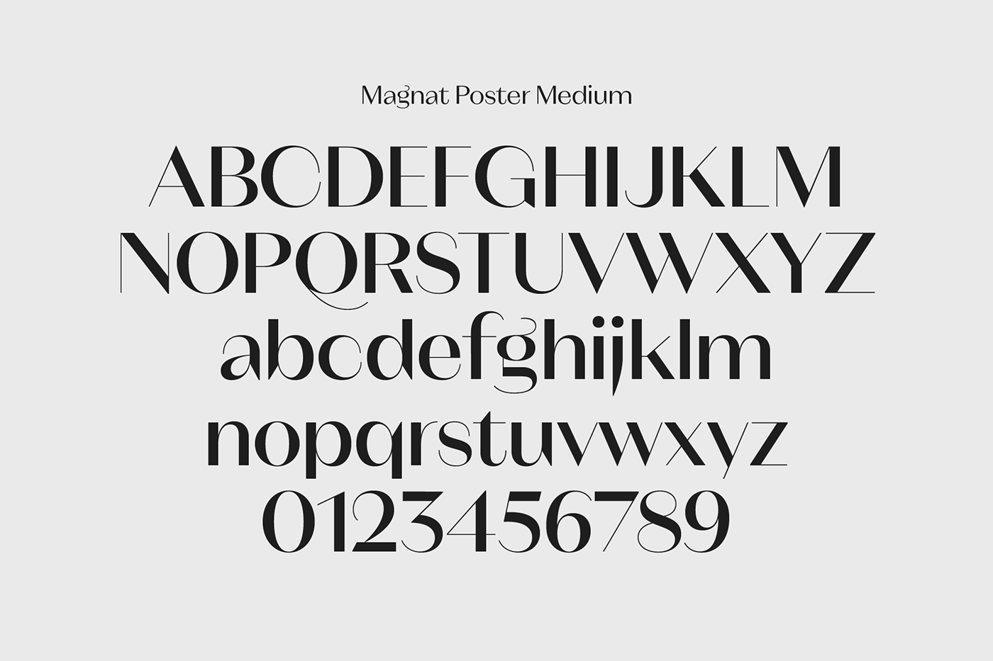 type design font family sans editorial branding  logo Website elegant