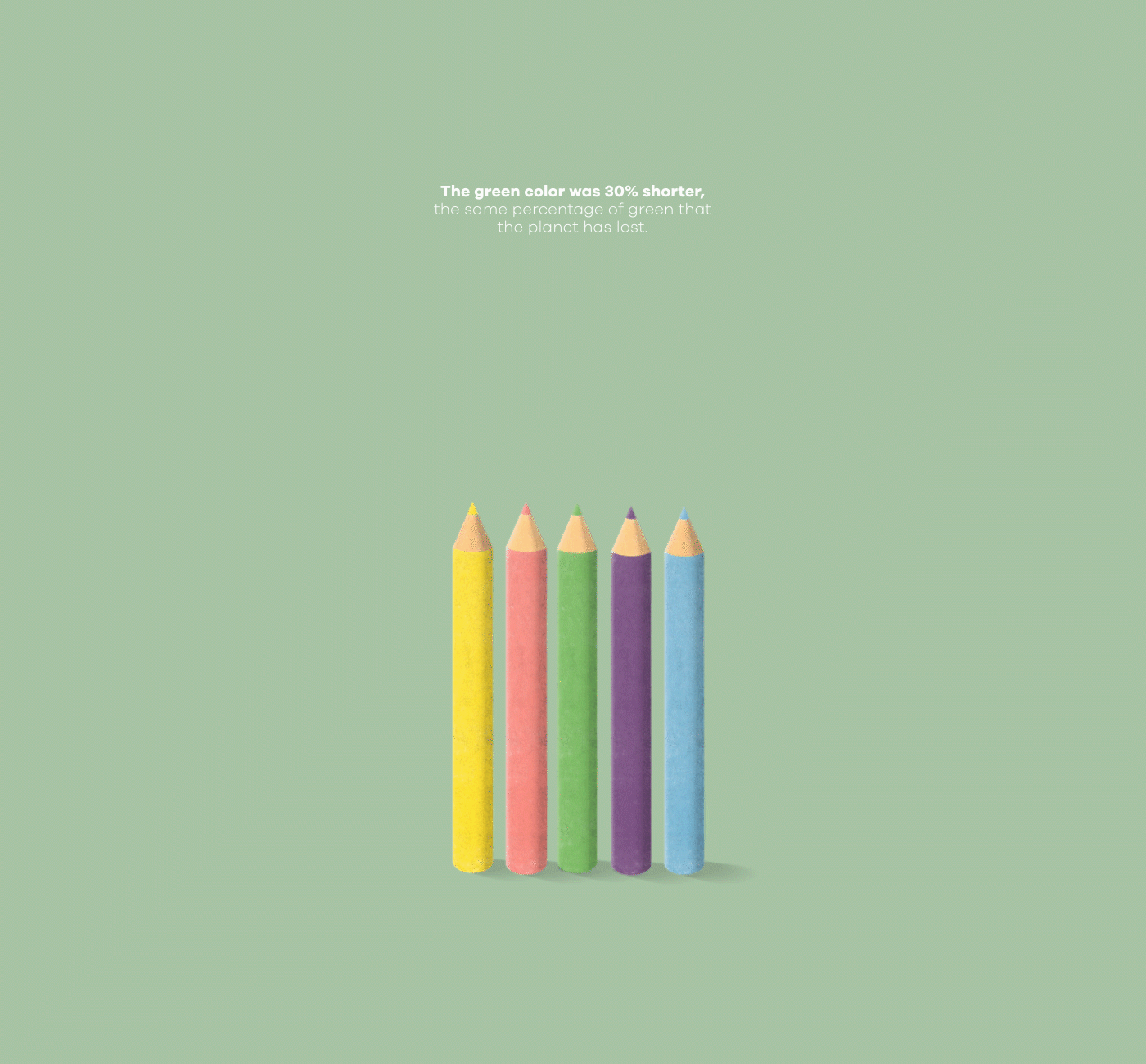 Advertising  art direction  color ecologia Education ilustracion medio ambiente Nature publicidad sostenibilidad
