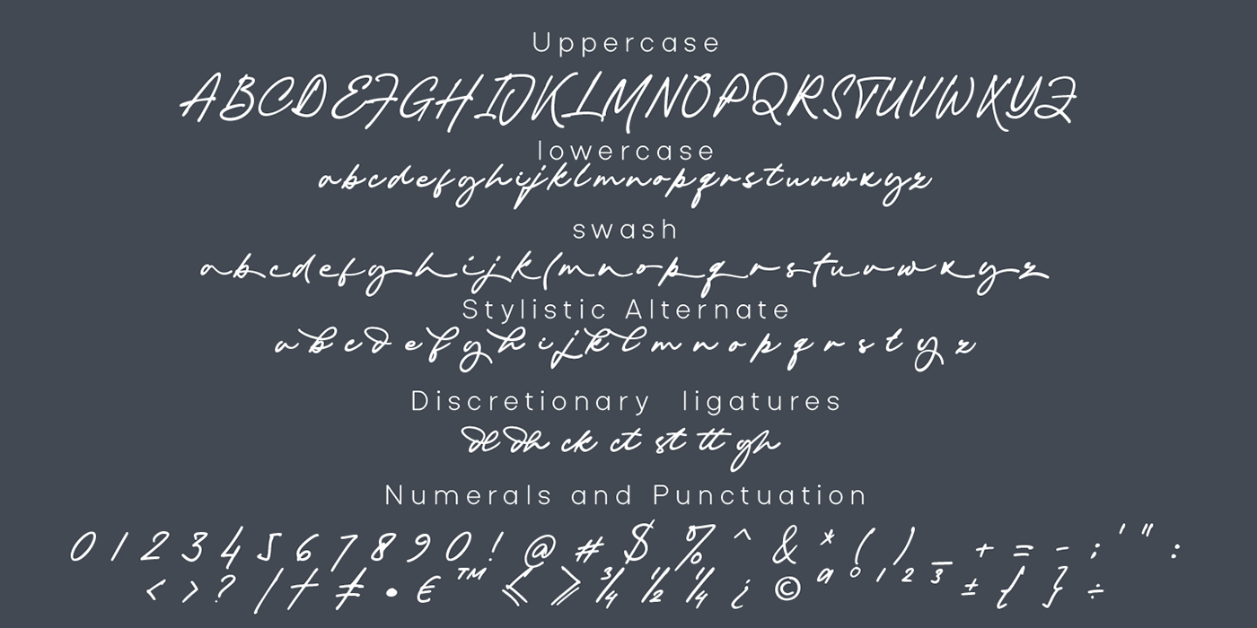 brand Brand Design font masculline modern Script signature