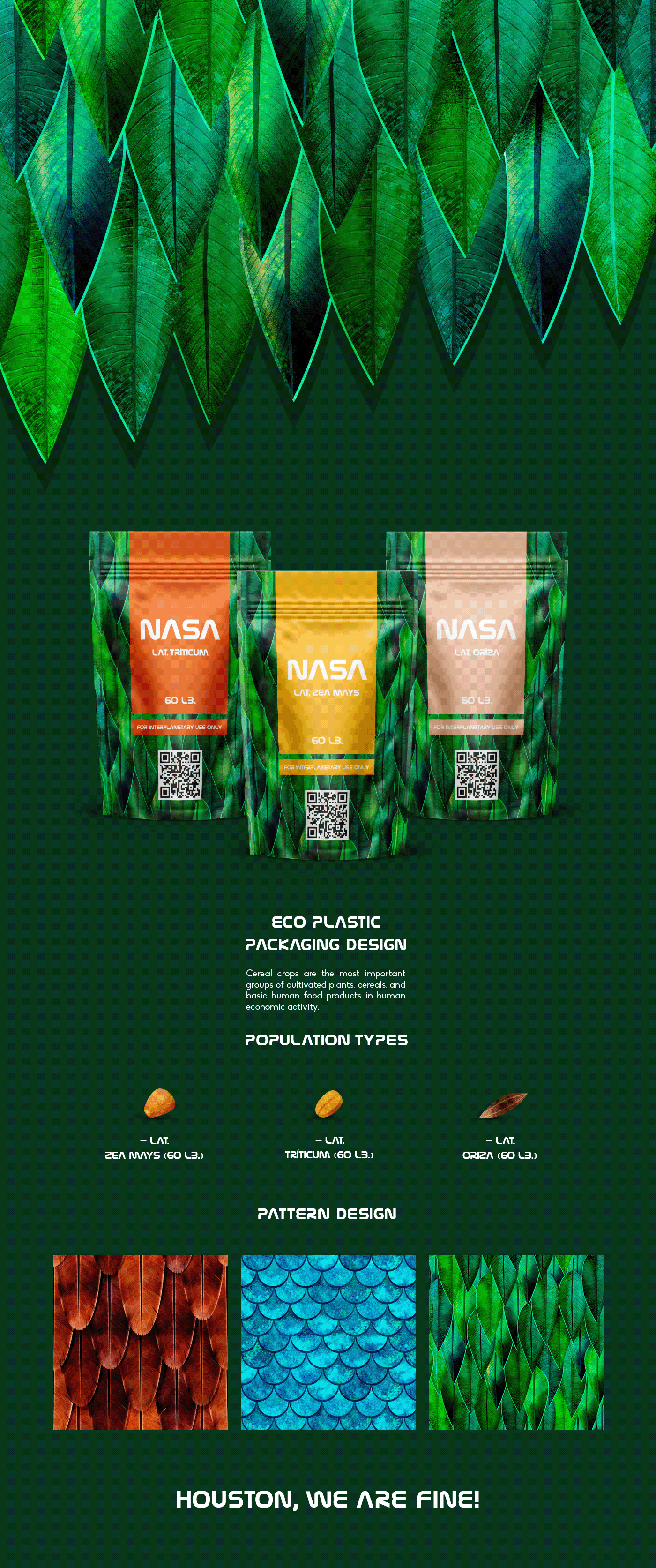 brand design earth Food  ILLUSTRATION  nasa package Packaging pattern Space 