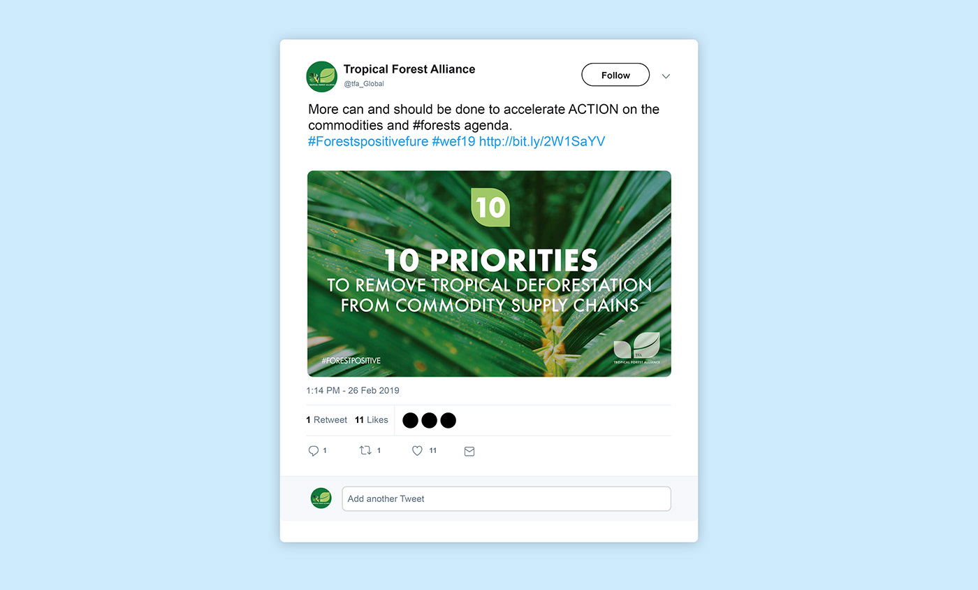 editorial design  graphics design green programme tropical forest