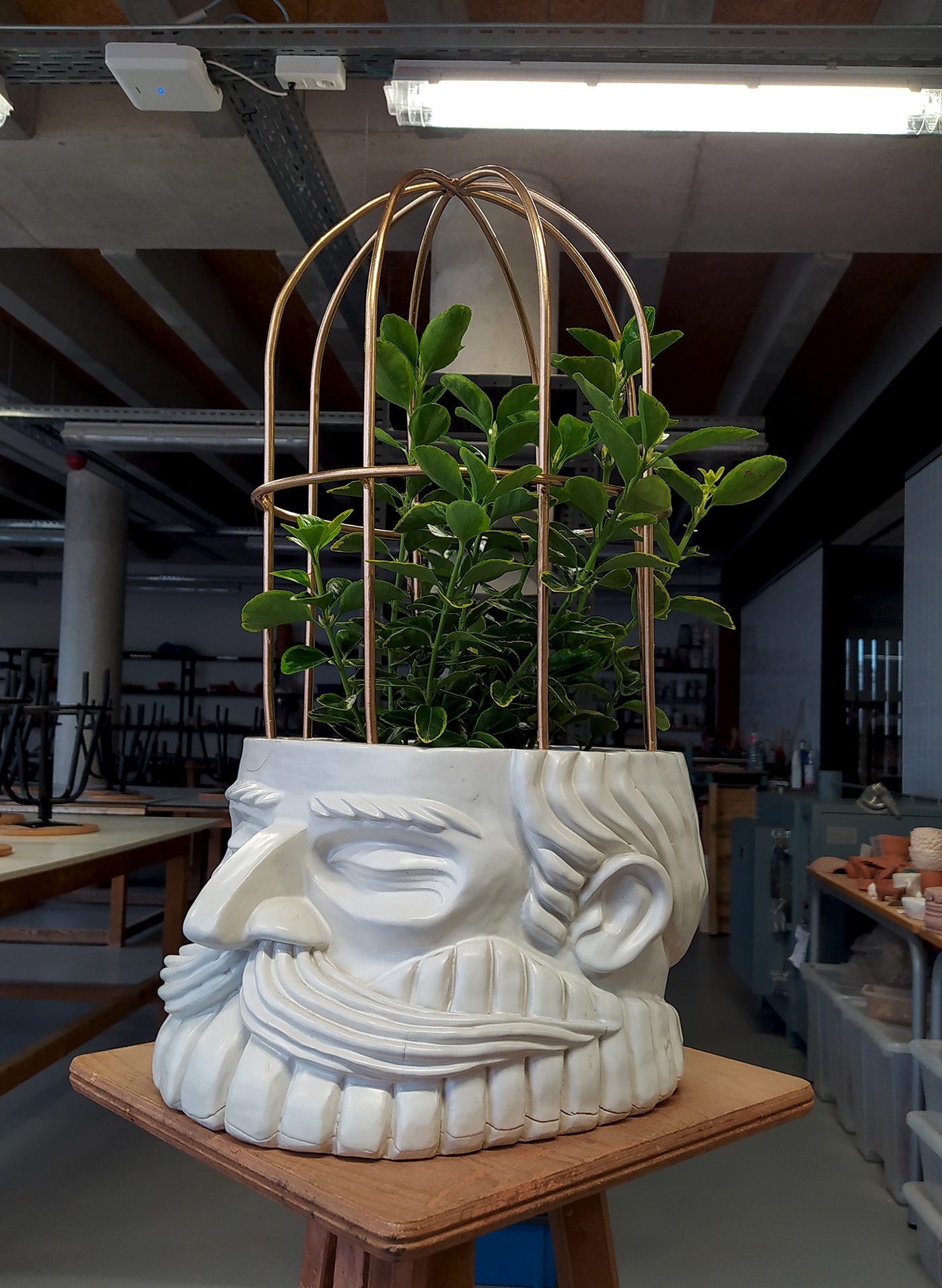 ceramica ceramics  empathy mascara mask reflection resilience sculpture fine art plants