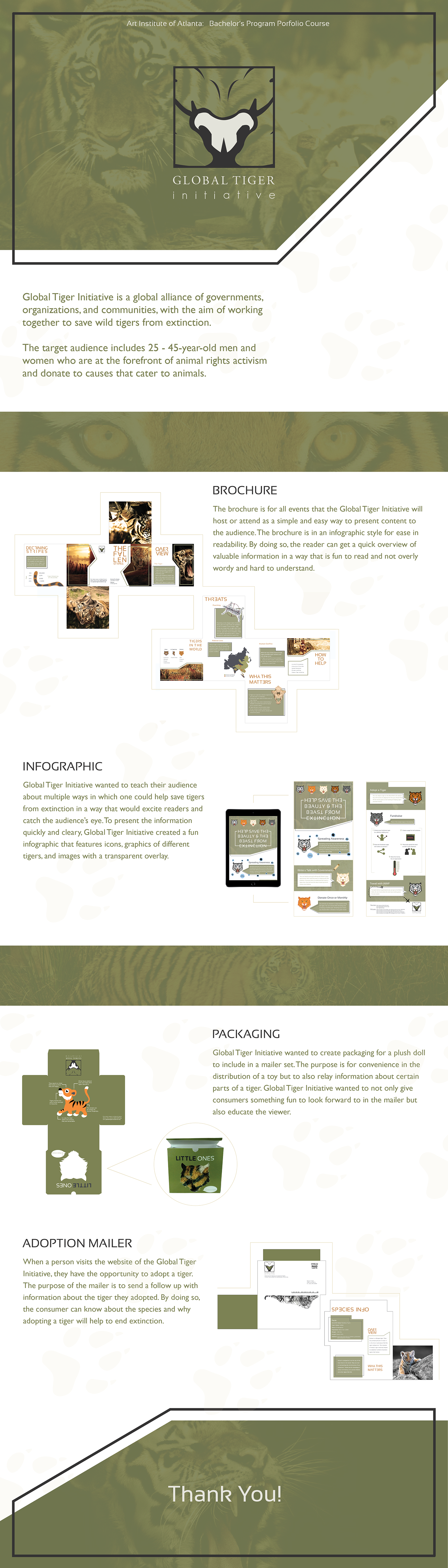 Packaging infograpgic brochure mailer
