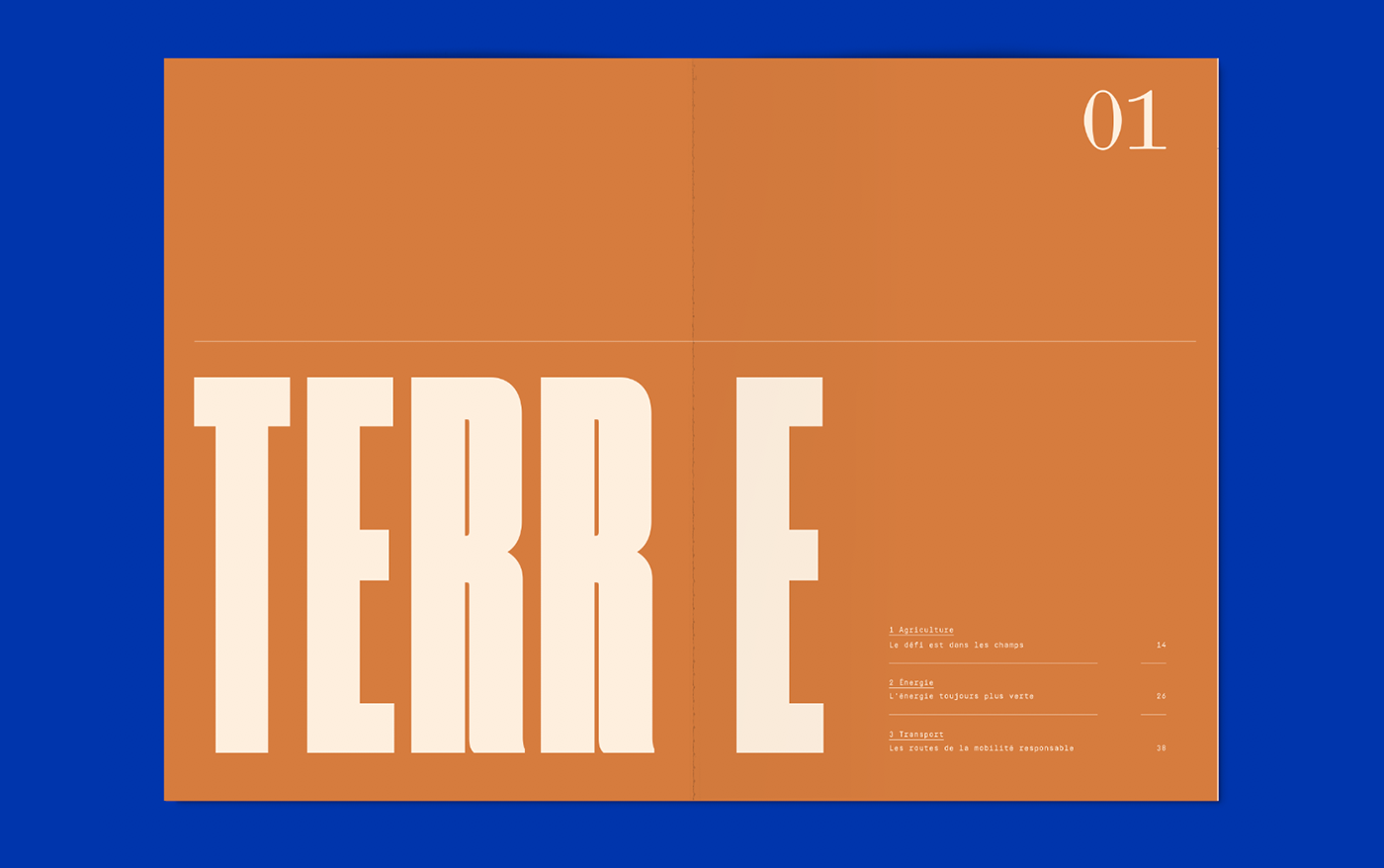 cako editorial font L'adn magazine Photography  type typography   Violaine & Jeremy vj-type