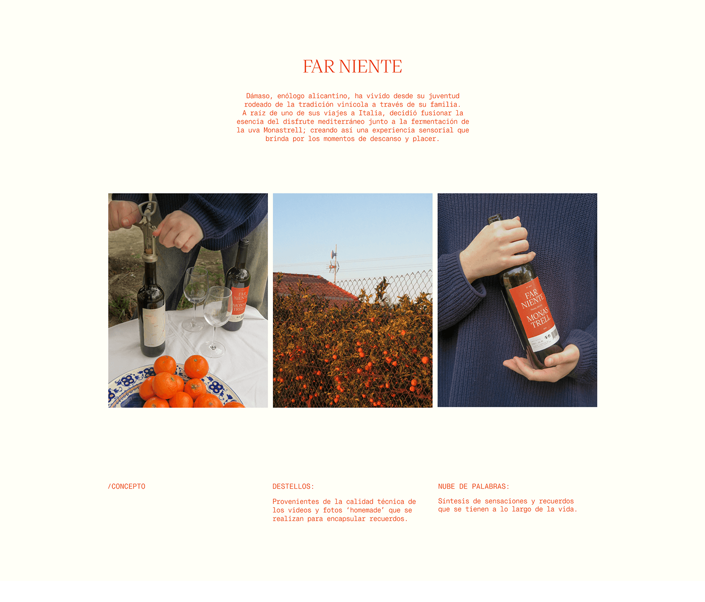 vino graphic design  Label wine mediterranean orange art direction  visual identity Photography 