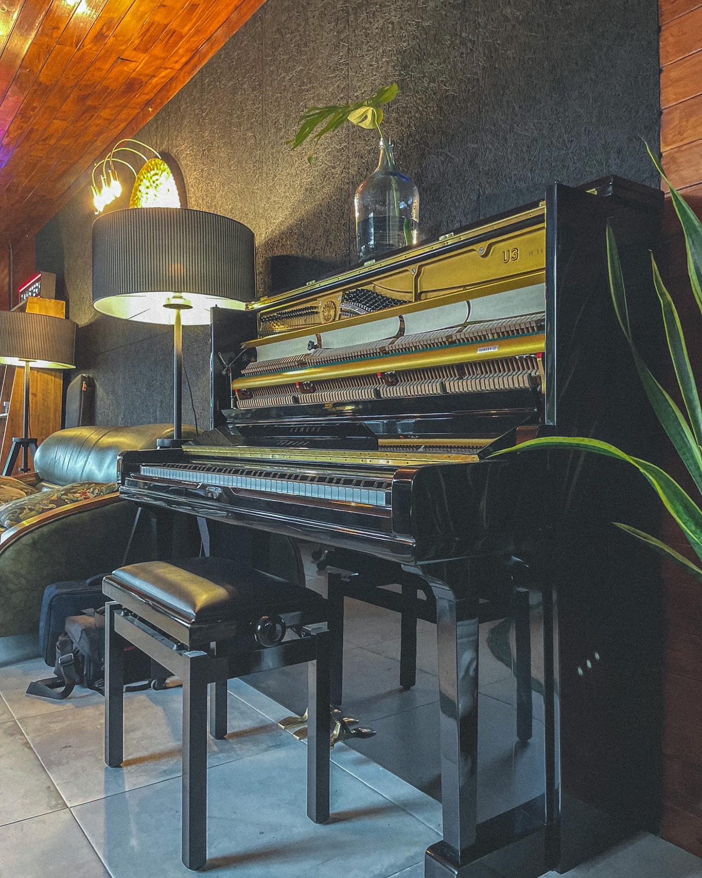 Audio Decoração industrial interior design  music photo Piano plants stuidio wood