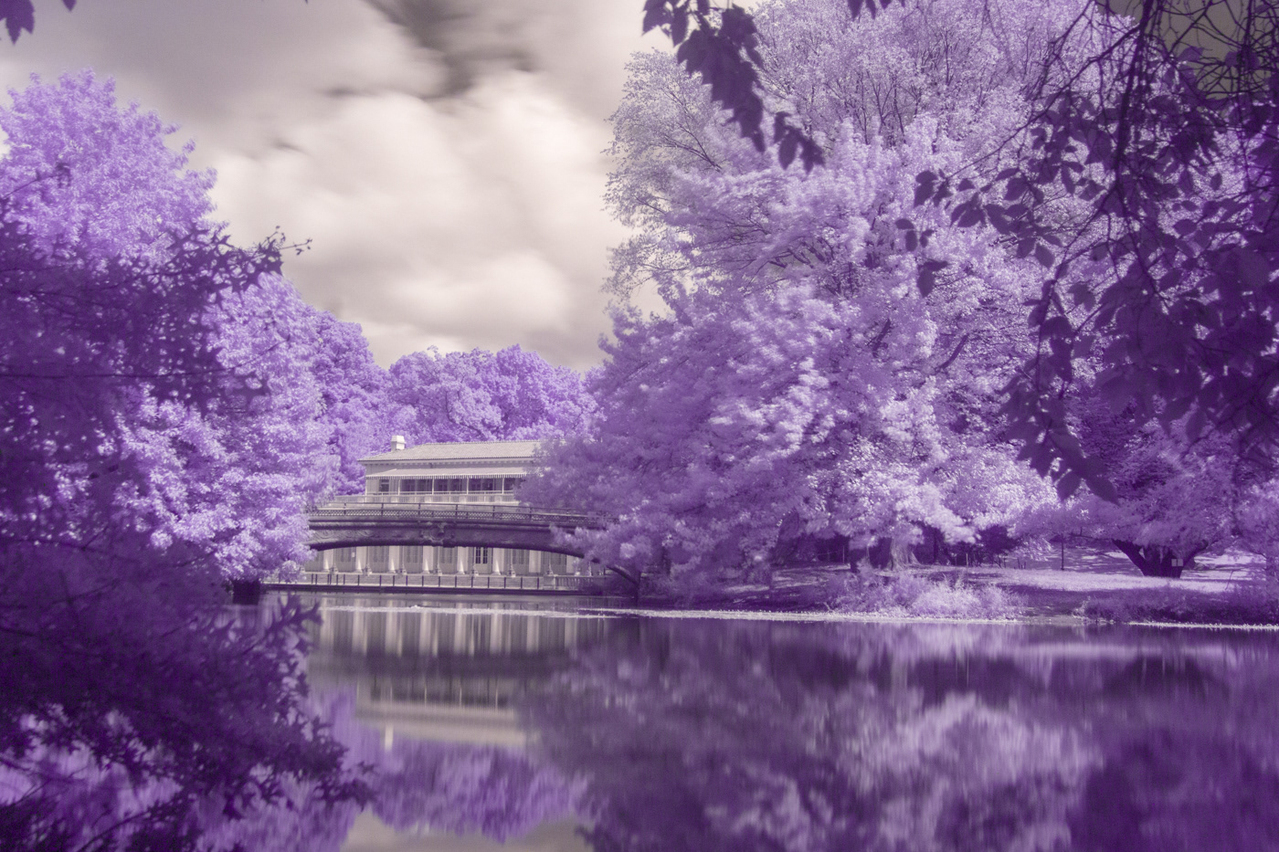 beauty clouds infrared photography Landscape Nature Photography  SKY Tree  water