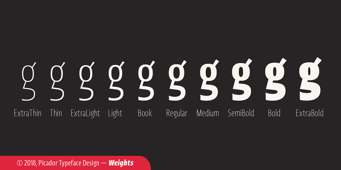 sans font typography   branding  identity modern Typeface family design Picador