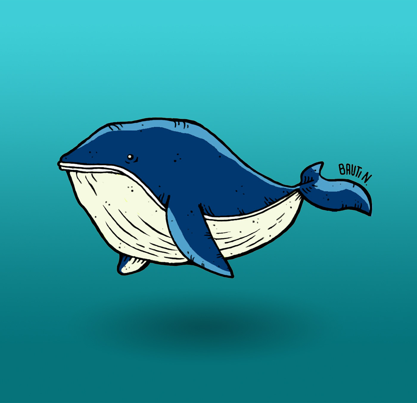 Blue whale illusttration