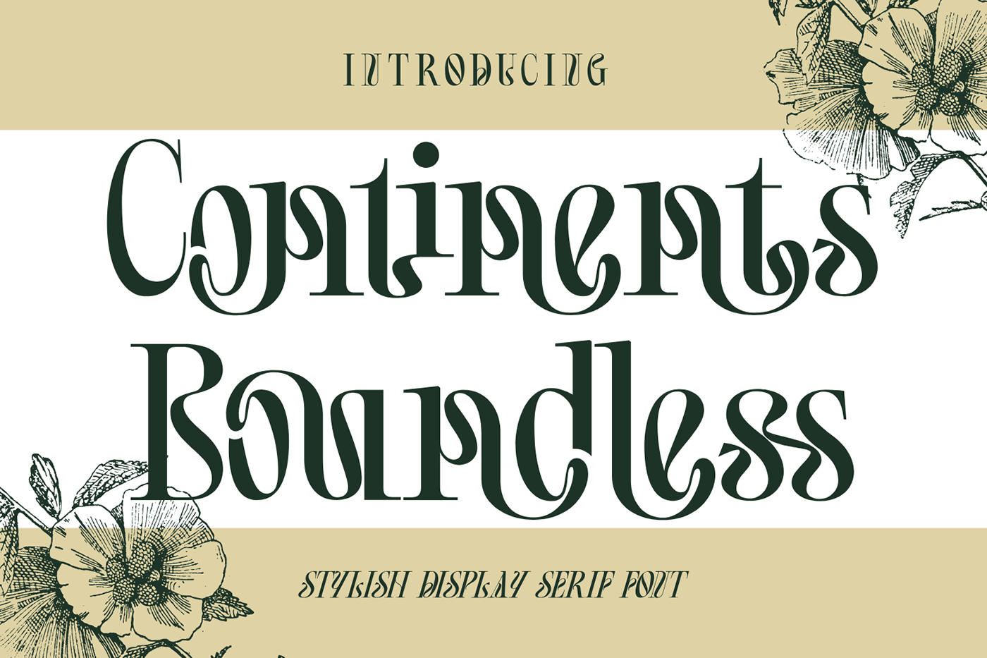 continents elegant font font Unique Font  unique ligatures Boundless Font Continents Boundless