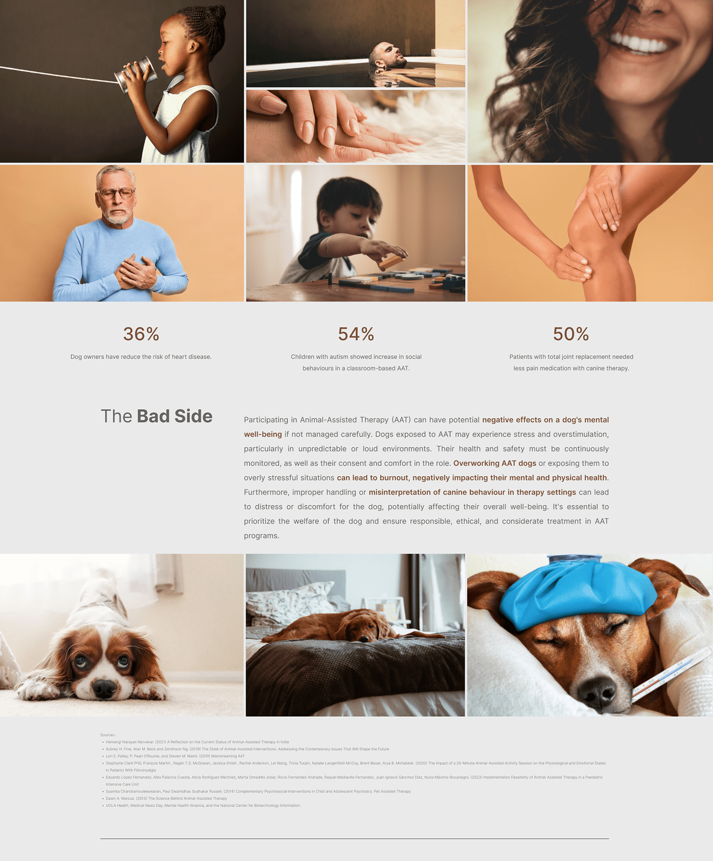 app design UI/UX user interface UX design user experience Mobile app Pet therapy research Interaction design 