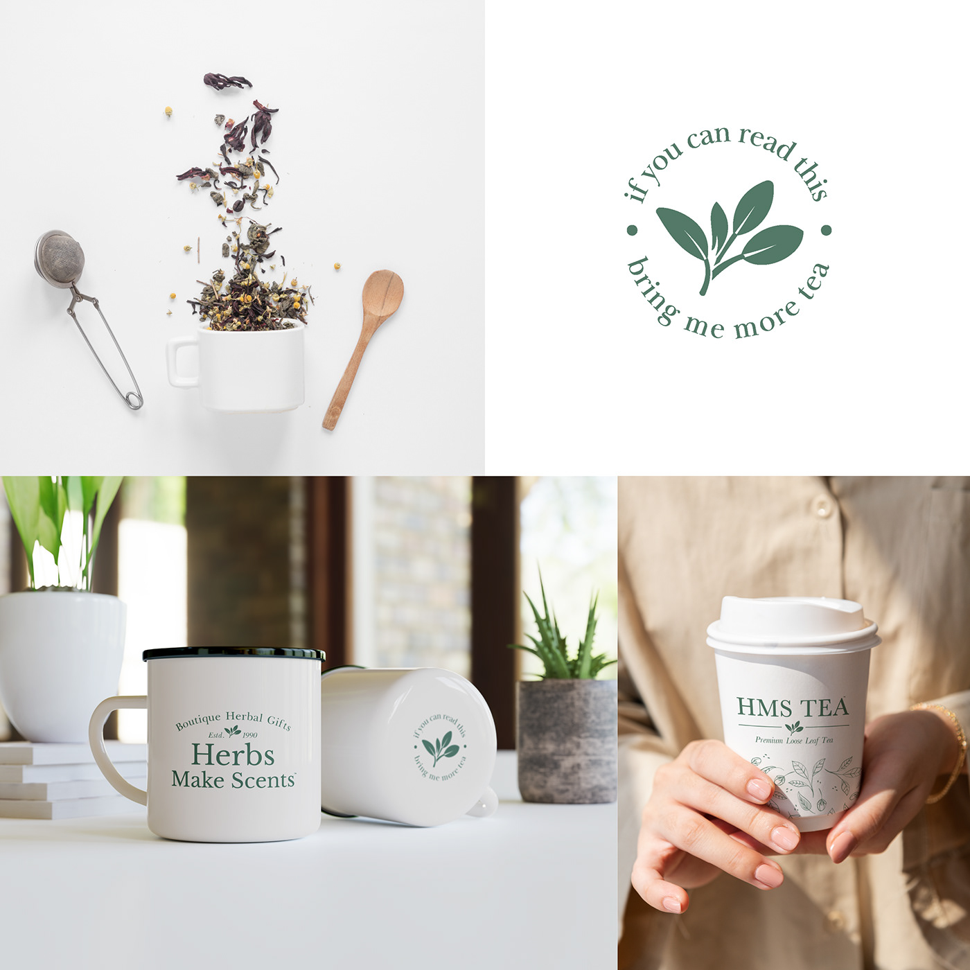 brand brand expansion brand strategy branding  Gift Shop identity Small Business tea