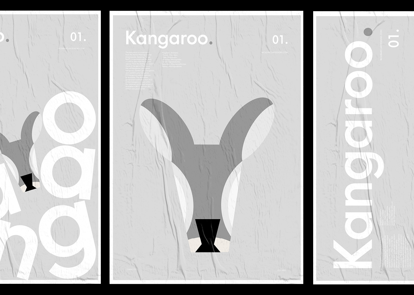 Australia graphic design  ILLUSTRATION  kangaroo koala posters print type typography   wombat