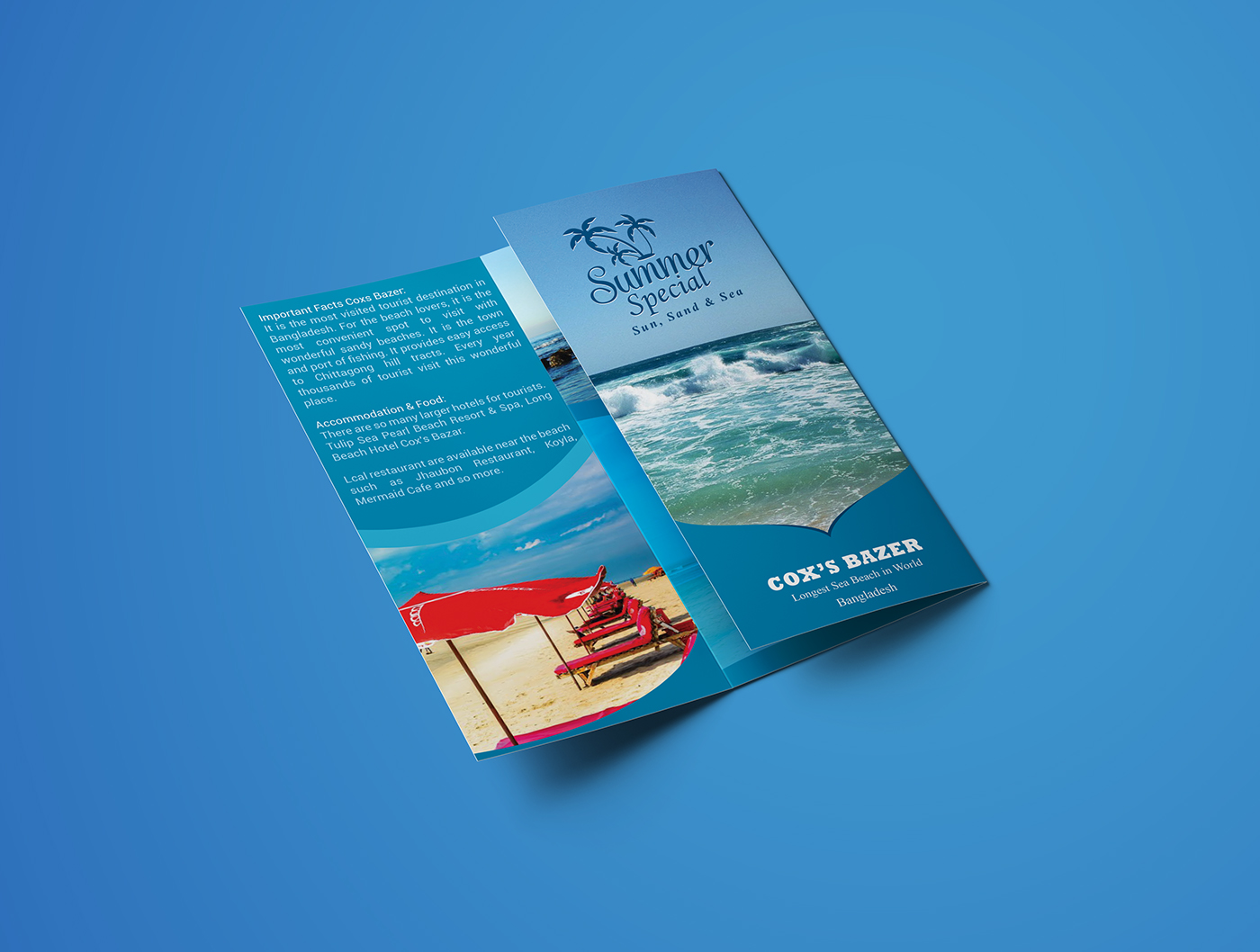 tri-fold brochure graphic design  print design  brochure brochure design