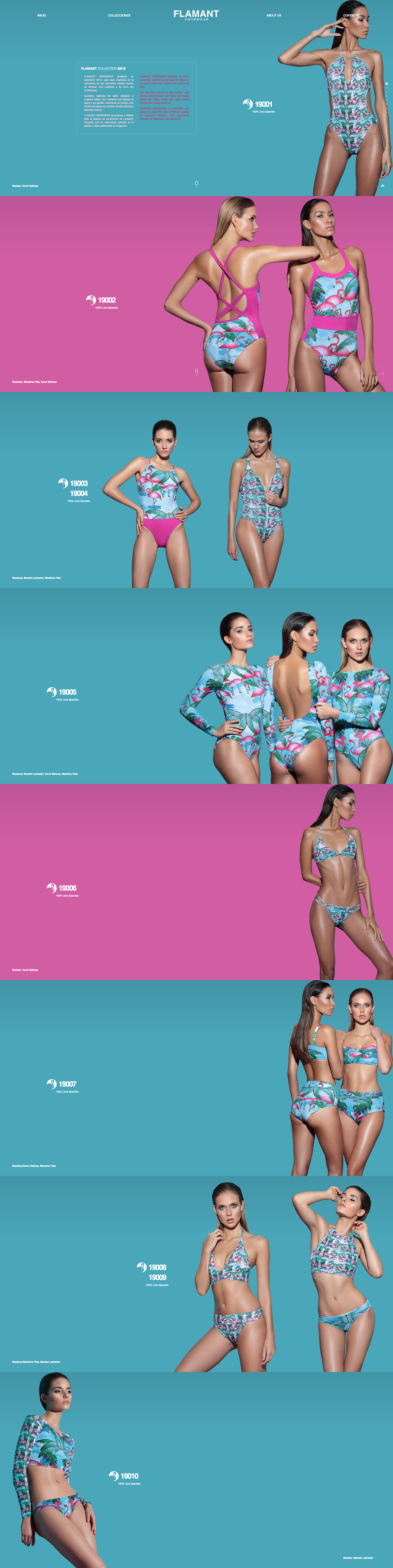 Web Design  web development  UI/UX design swimwear graphic design  brand ebasabe Freelance HTML