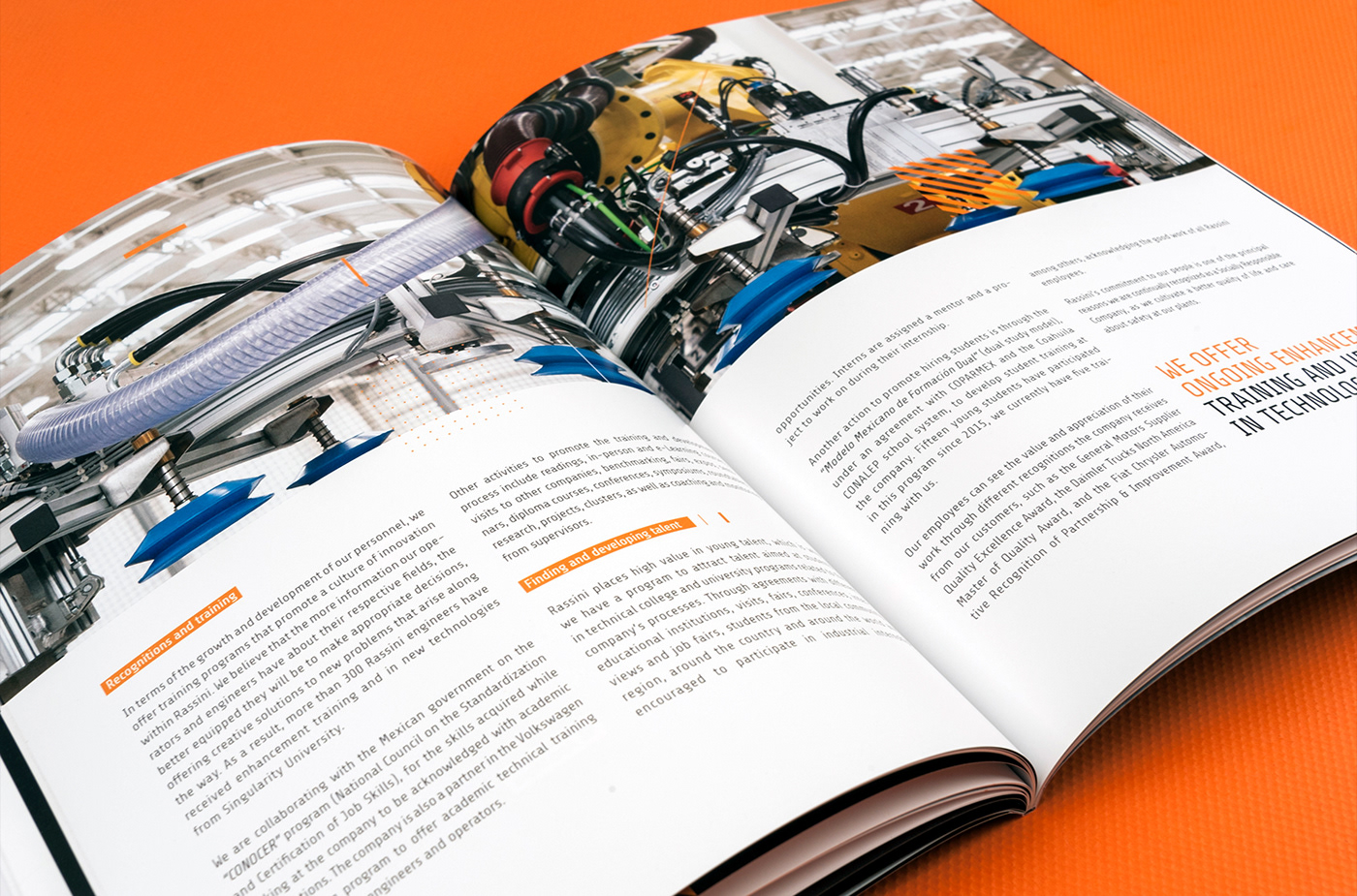 editorial diseño gráfico editorial design  brochure print InDesign Layout magazine typography  